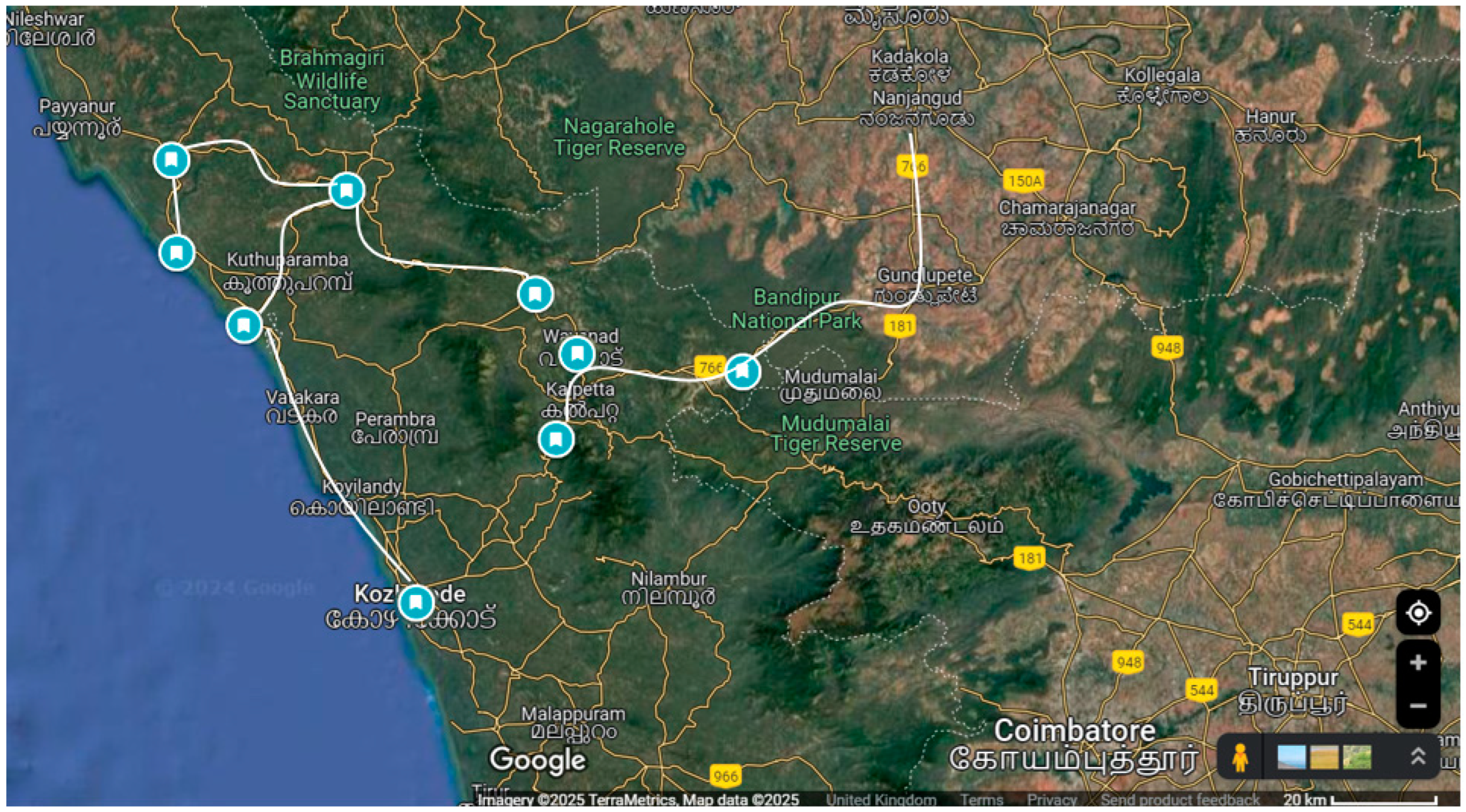 Diversity 17 00184 g003