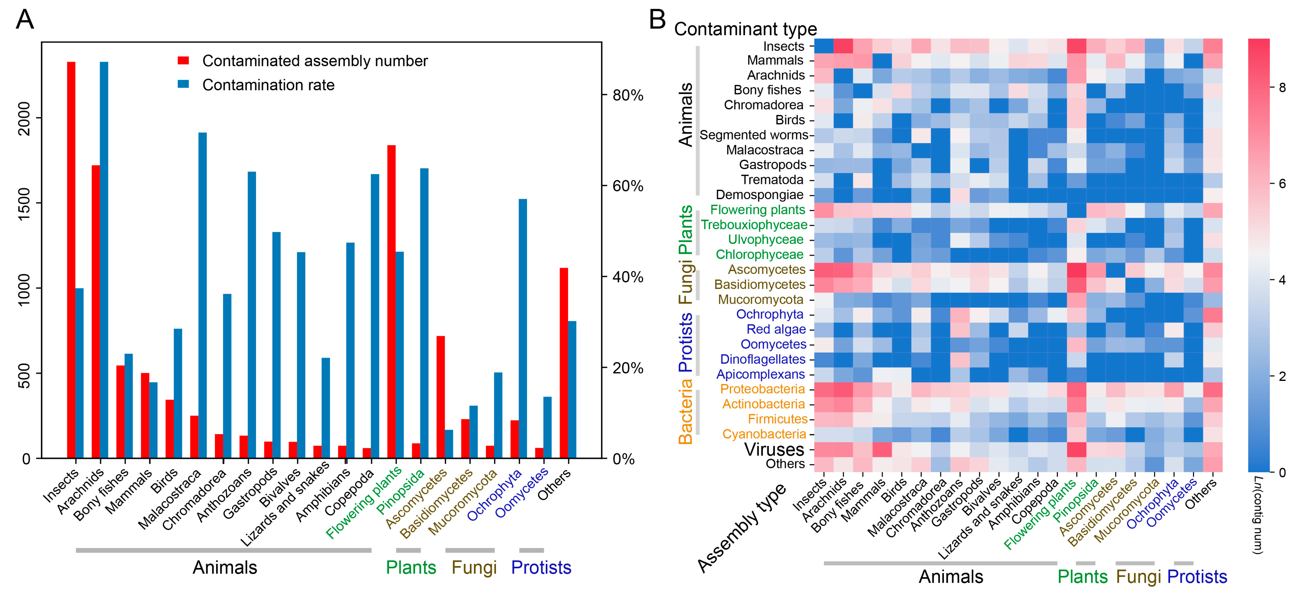 Diversity 17 00186 g002
