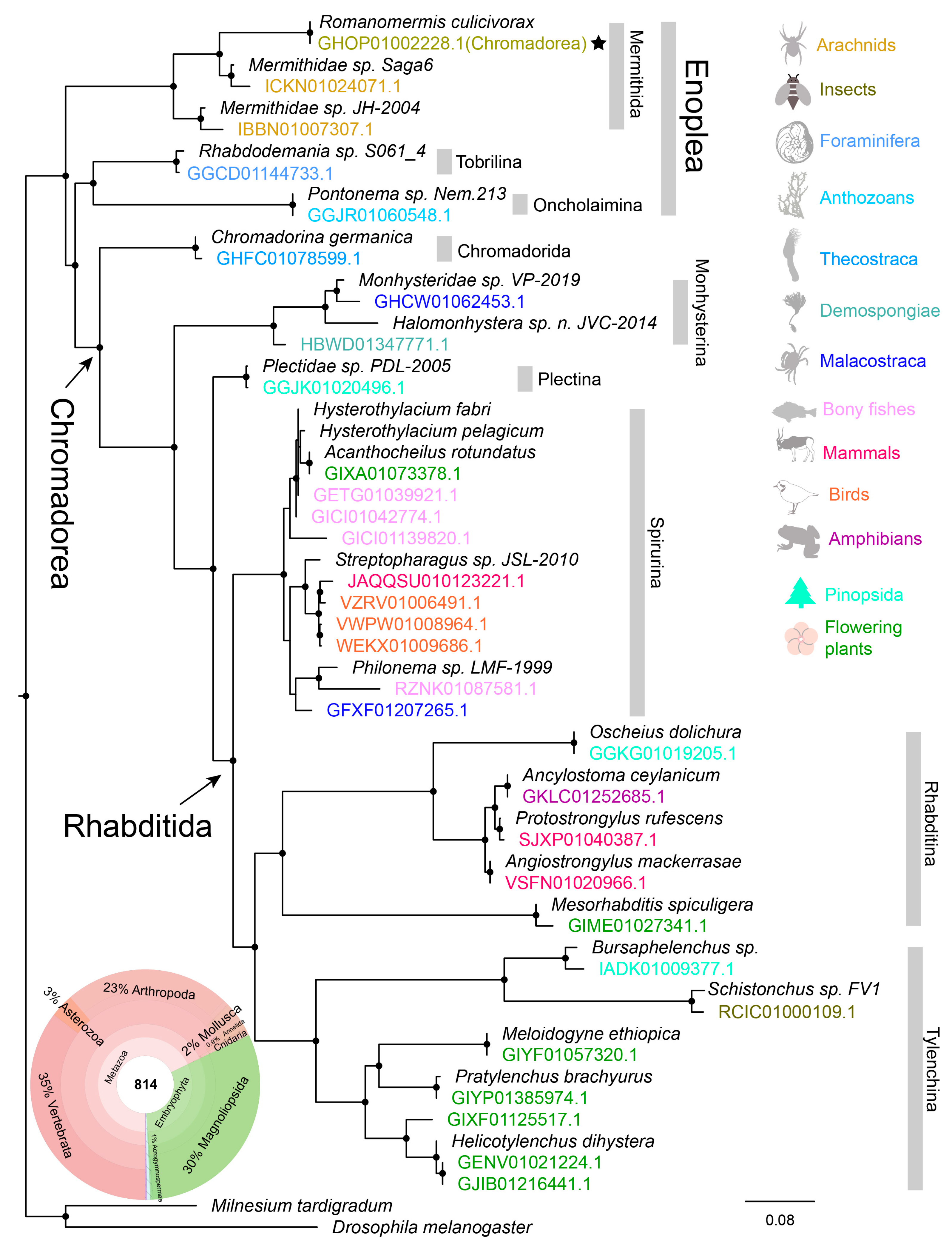 Diversity 17 00186 g003