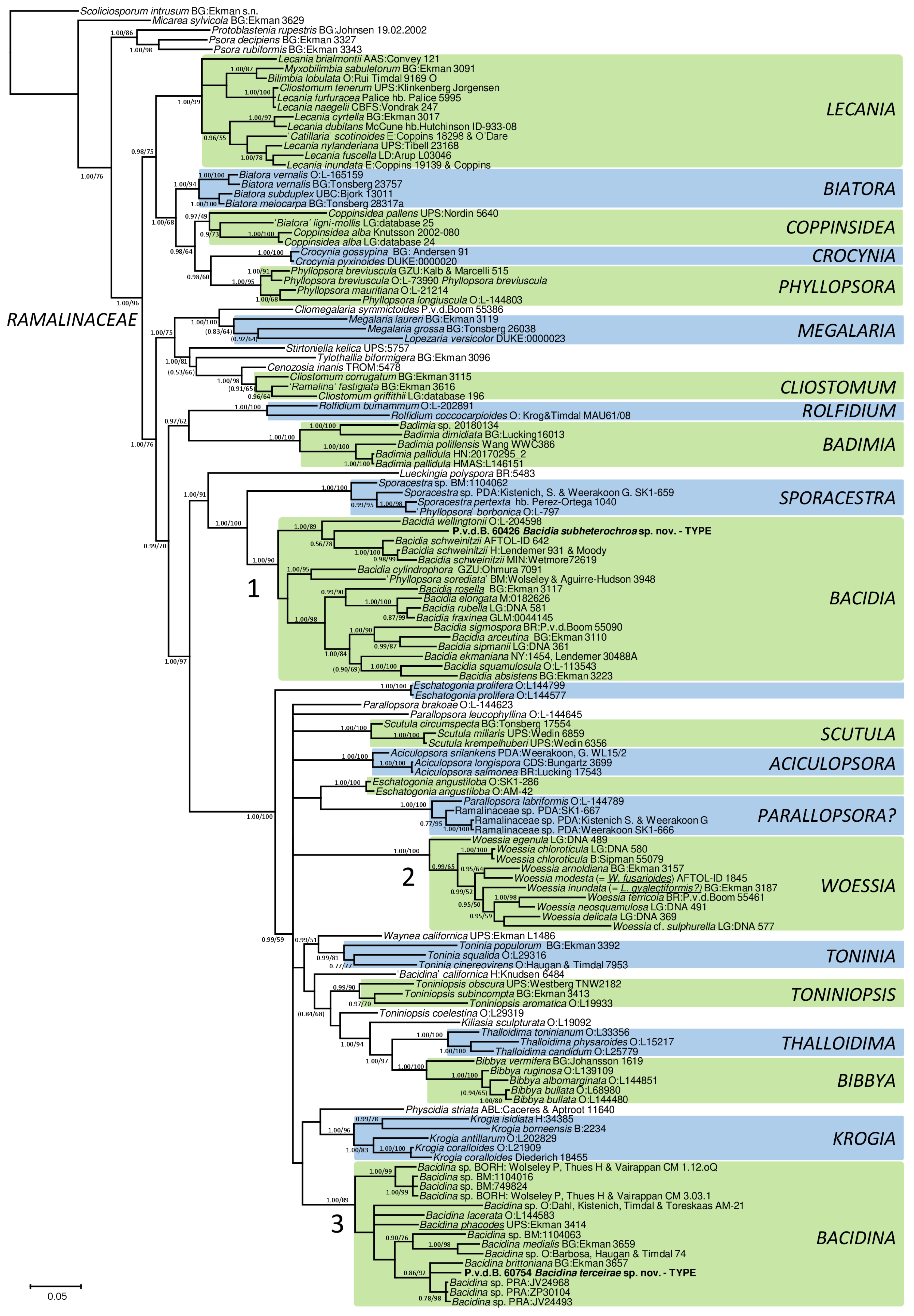 Diversity 17 00187 g003