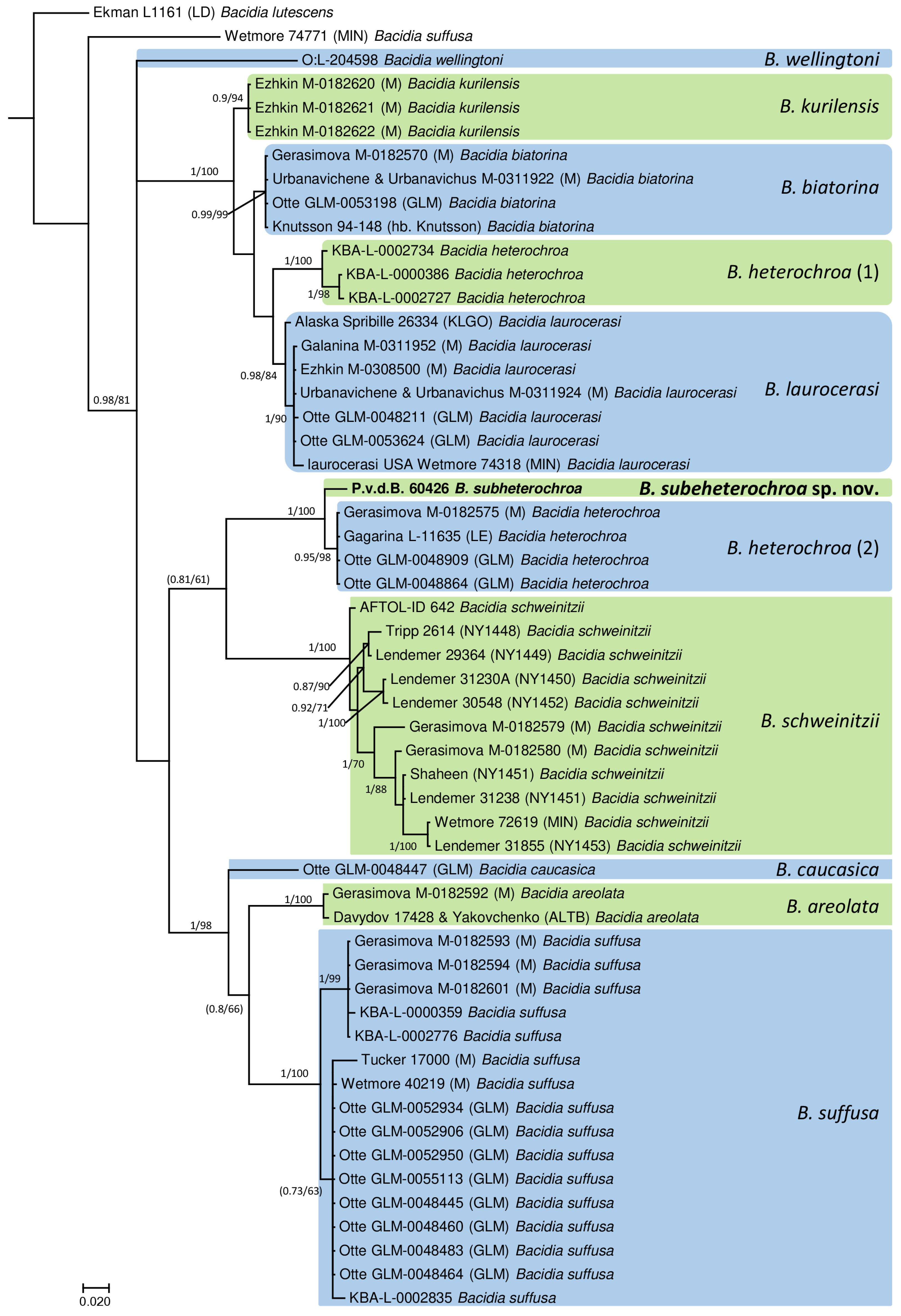 Diversity 17 00187 g004