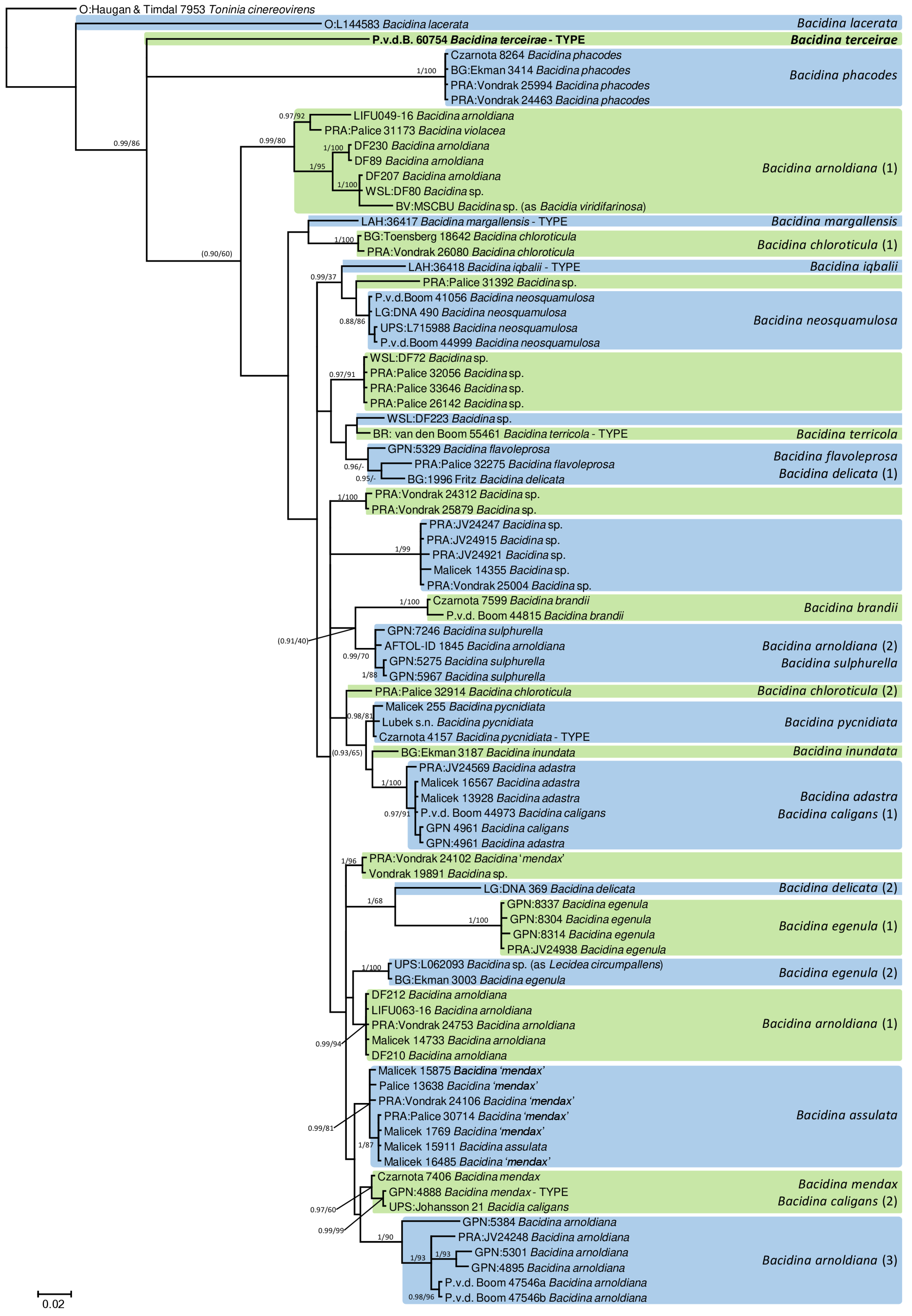 Diversity 17 00187 g005