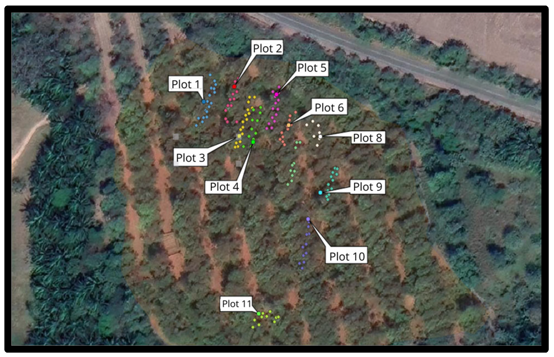 Diversity 17 00189 g001 Diversity 17 00189 g001