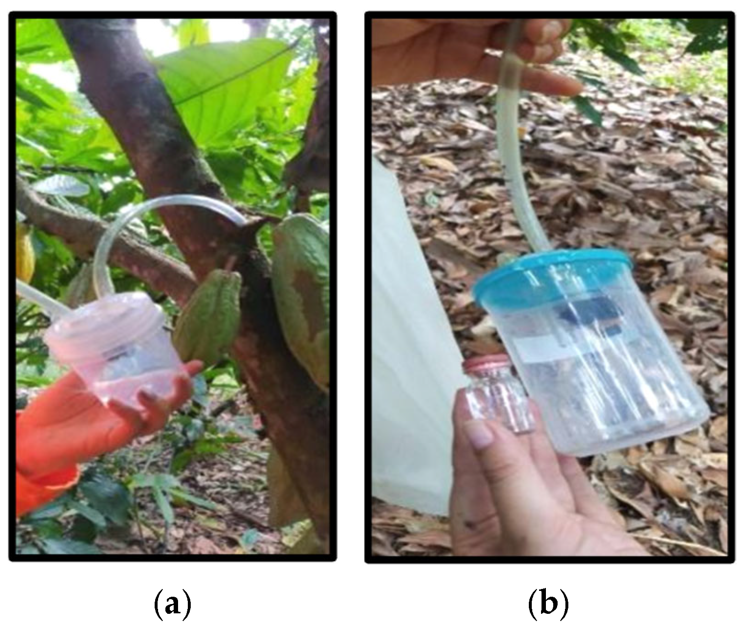 Diversity 17 00189 g003 Diversity 17 00189 g003