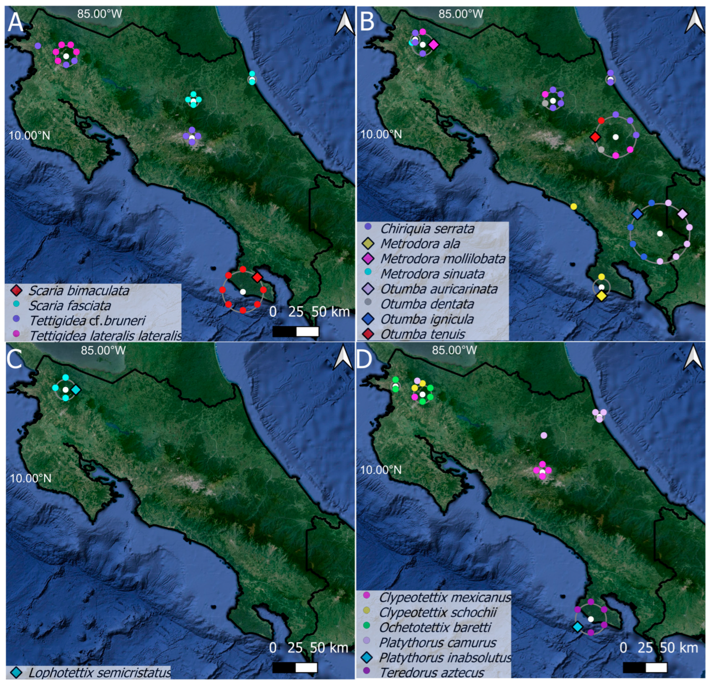 Diversity 17 00190 g001 Diversity 17 00190 g001