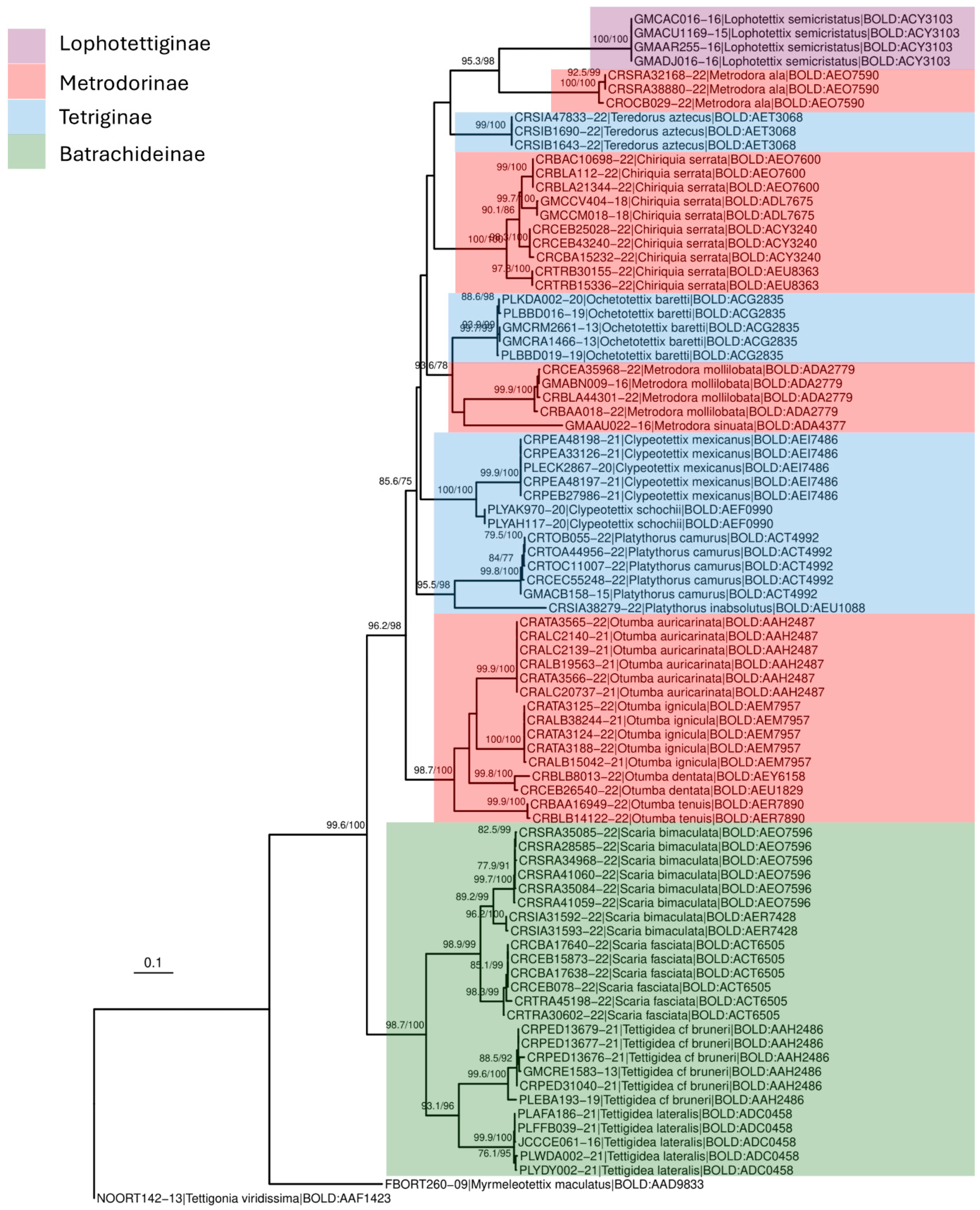 Diversity 17 00190 g002 Diversity 17 00190 g002