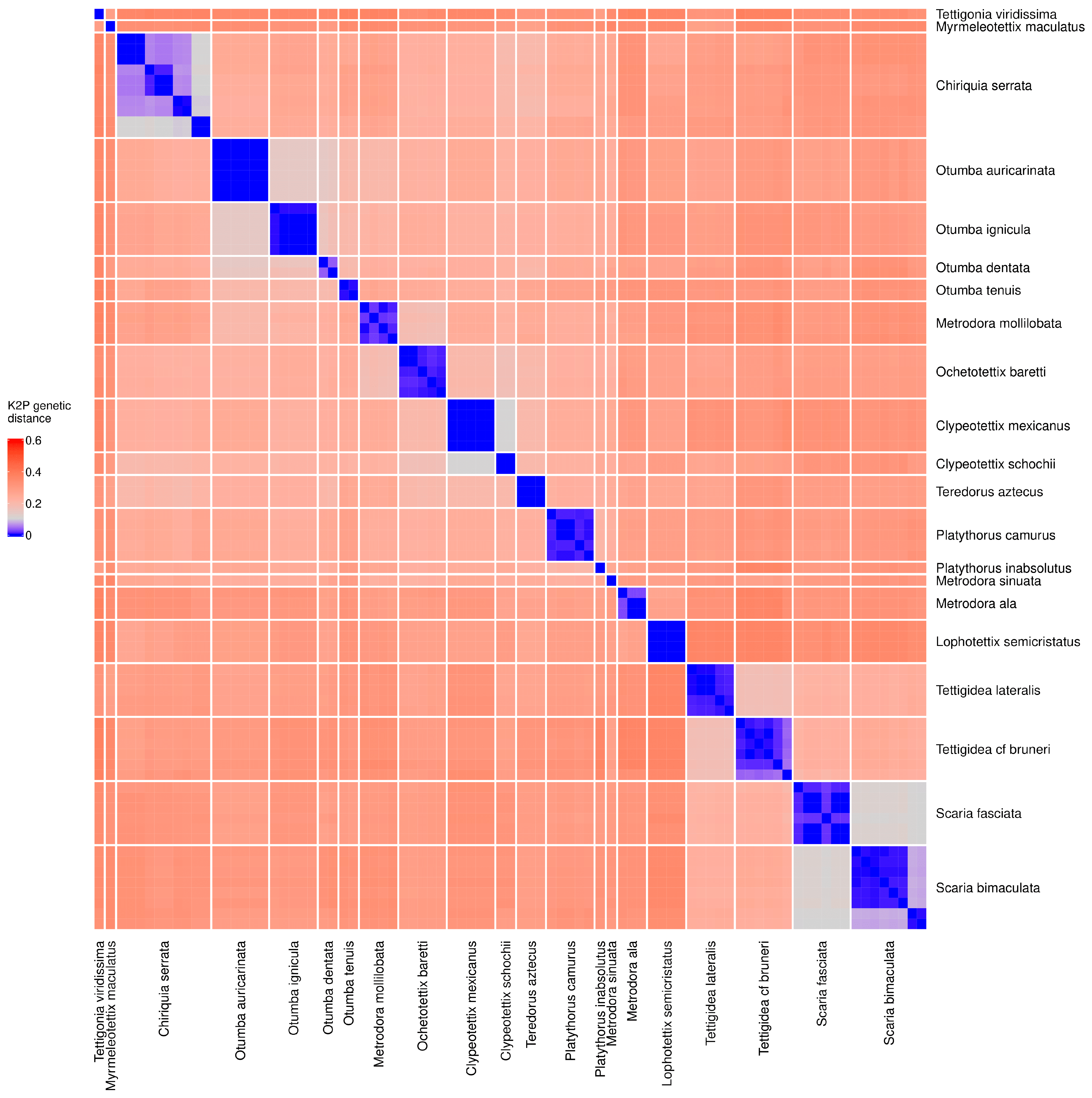 Diversity 17 00190 g003 Diversity 17 00190 g003