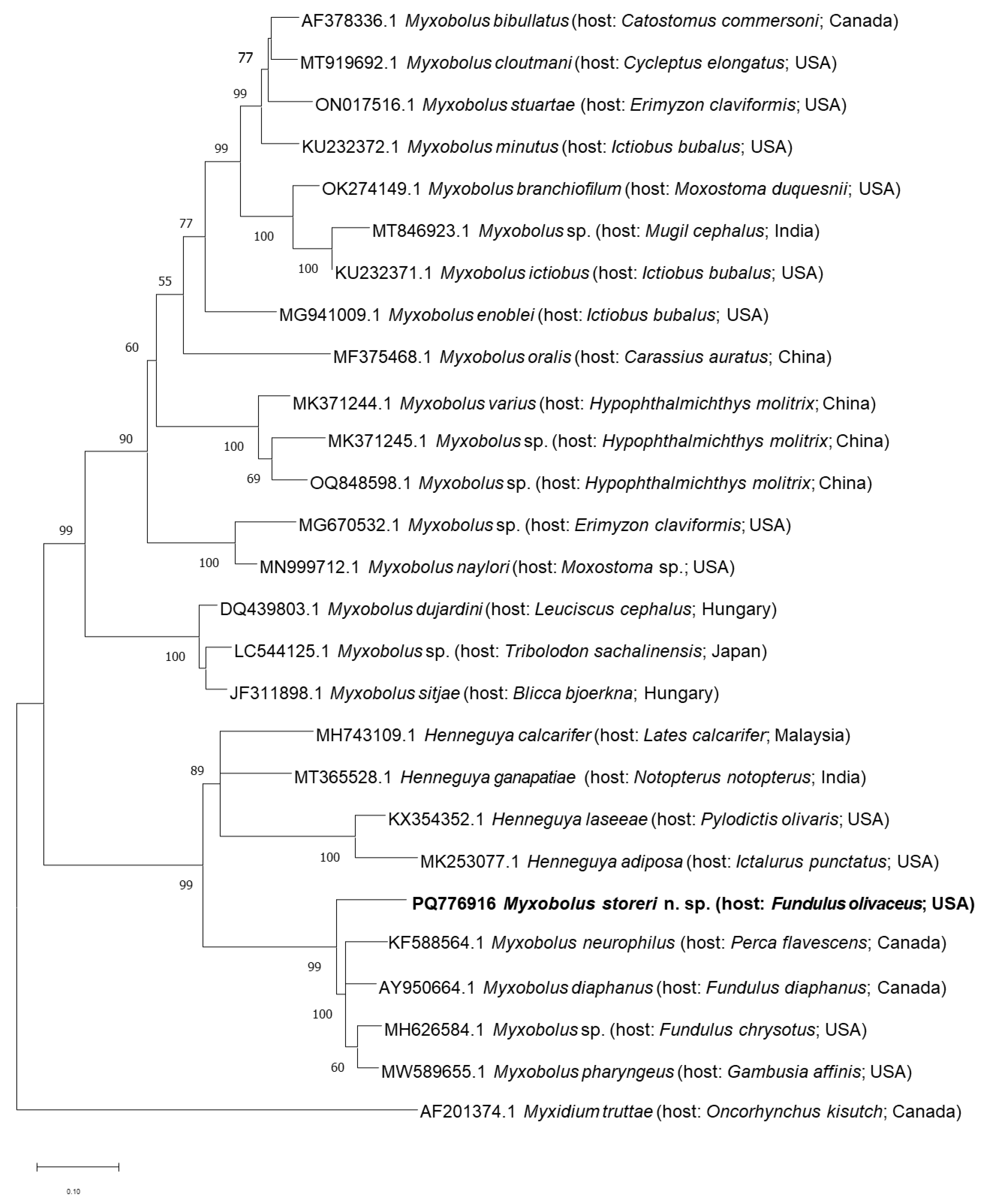 Diversity 17 00192 g003 Diversity 17 00192 g003