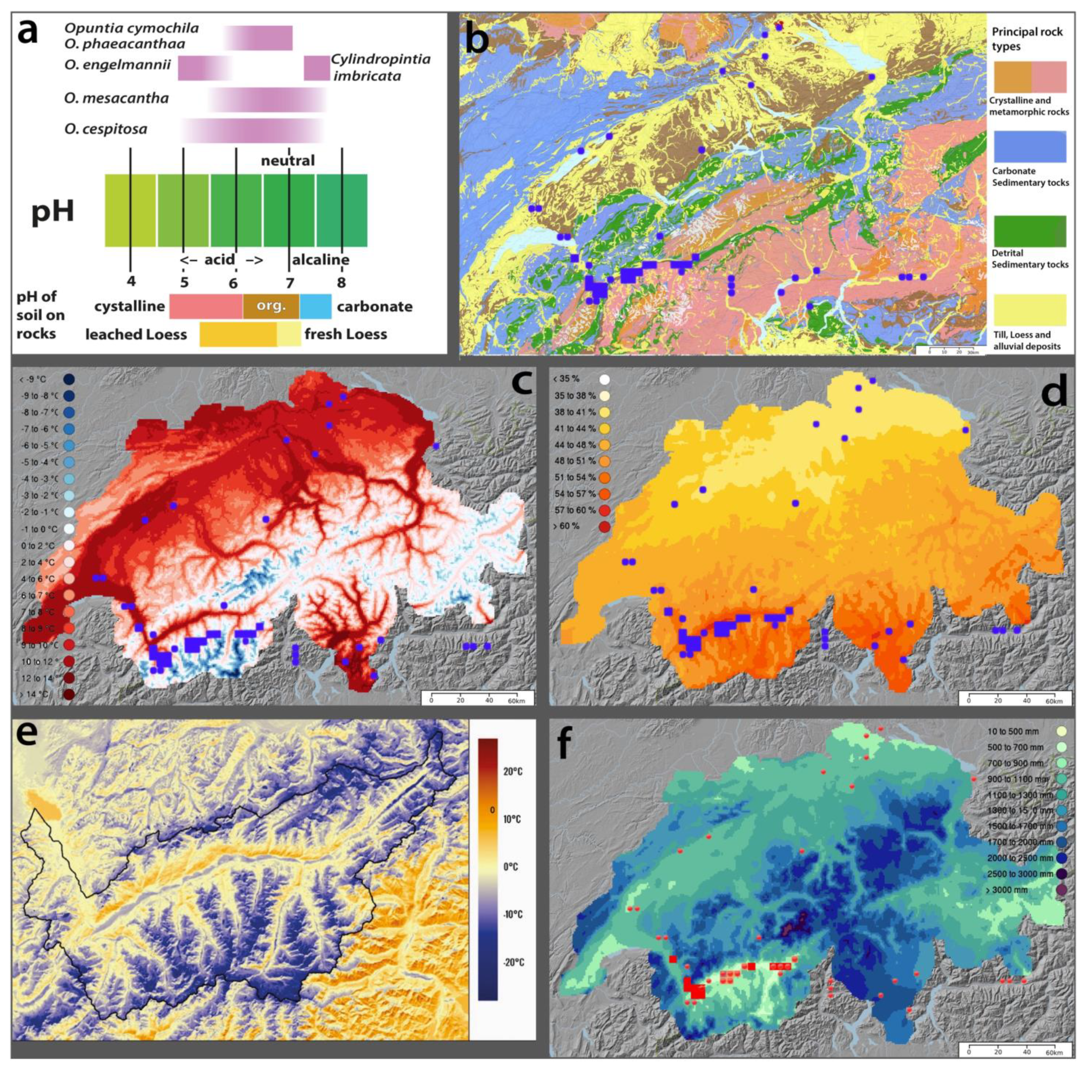 Diversity 17 00197 g003