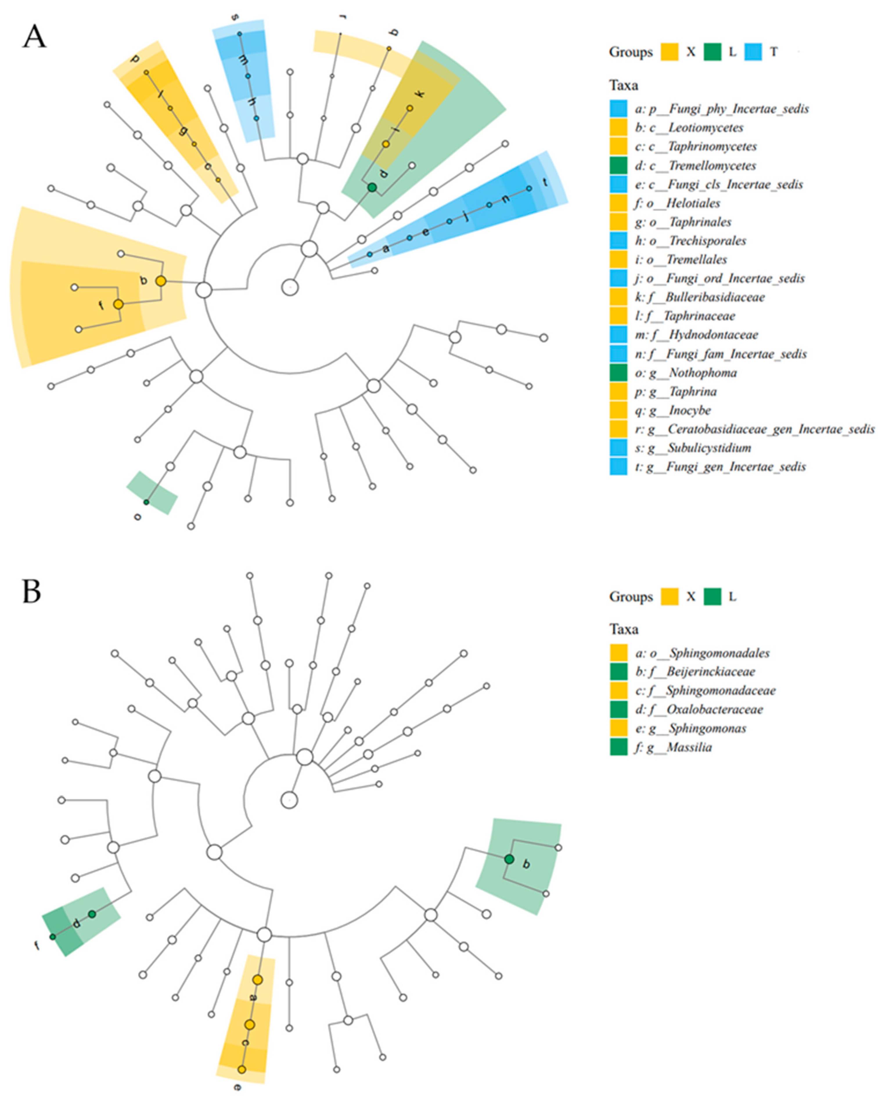 Diversity 17 00199 g003