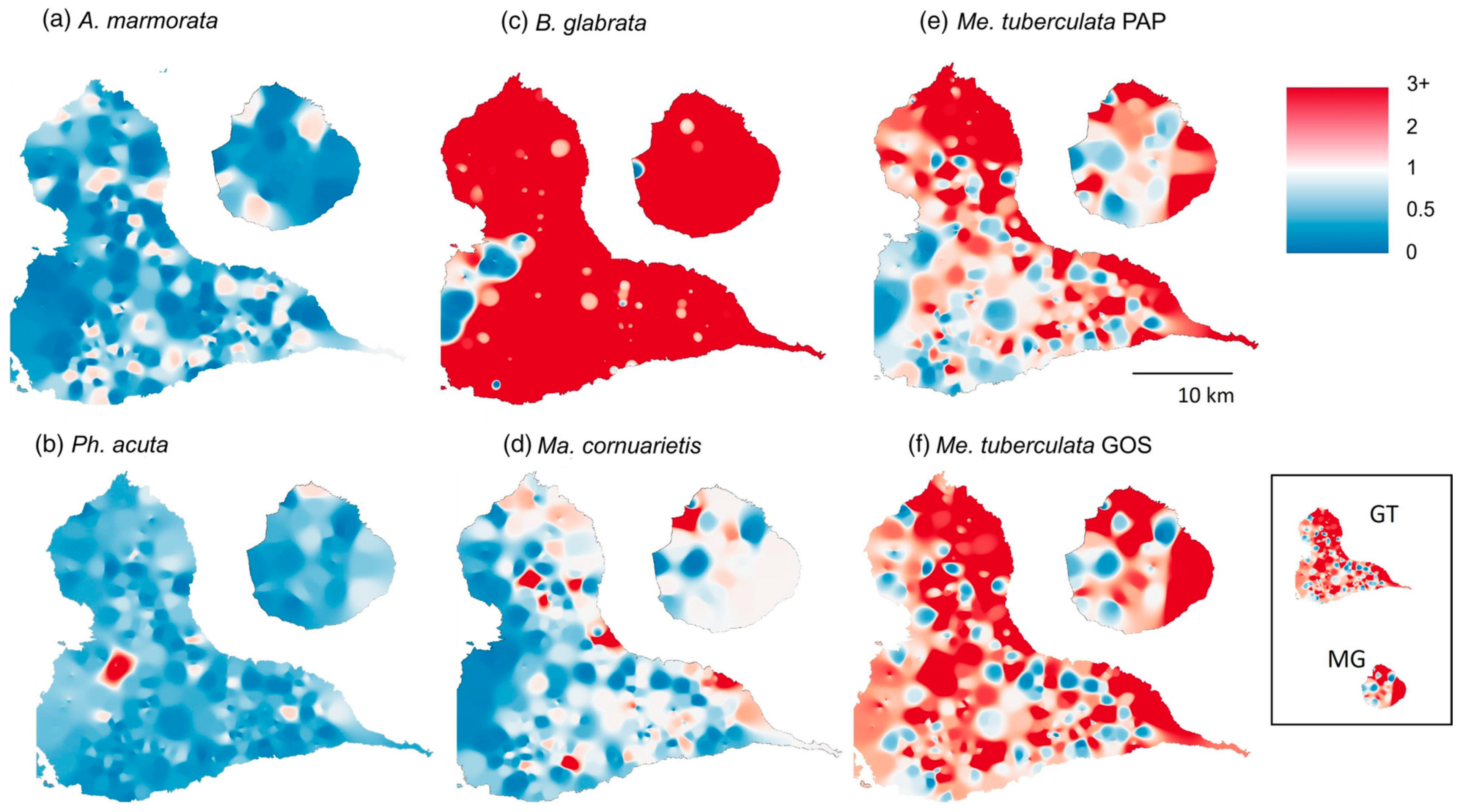 Diversity 17 00200 g007 Diversity 17 00200 g007