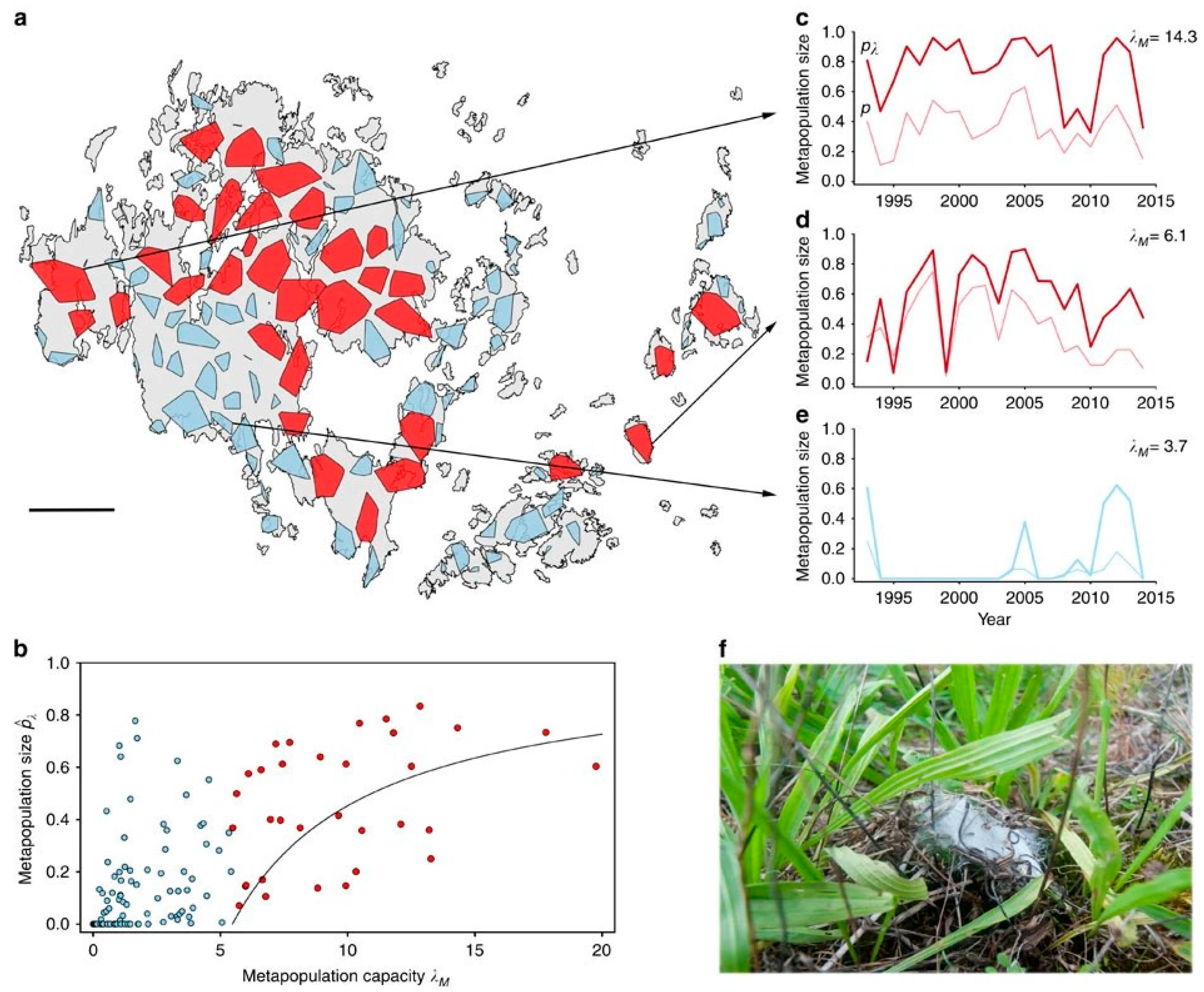 Diversity 17 00200 g008 Diversity 17 00200 g008
