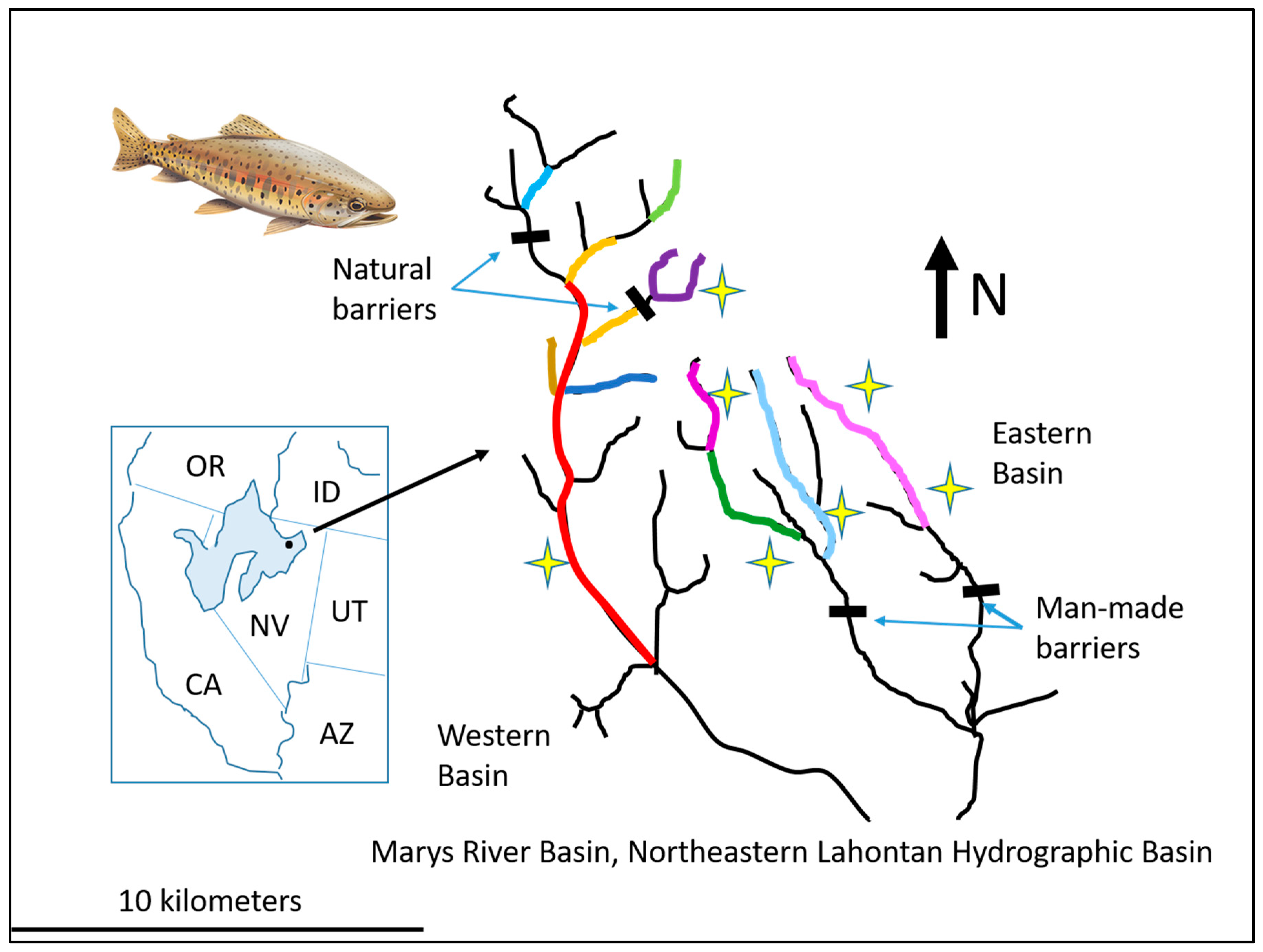 Diversity 17 00200 g009 Diversity 17 00200 g009