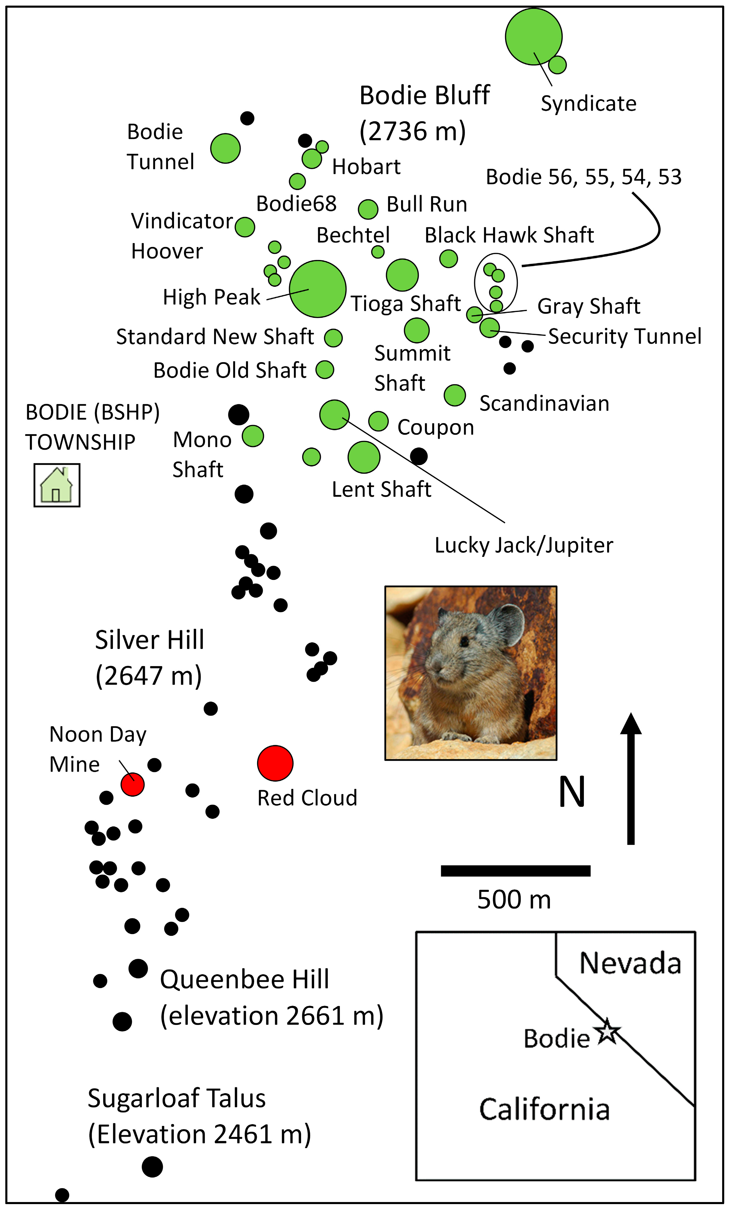 Diversity 17 00200 g010 Diversity 17 00200 g010