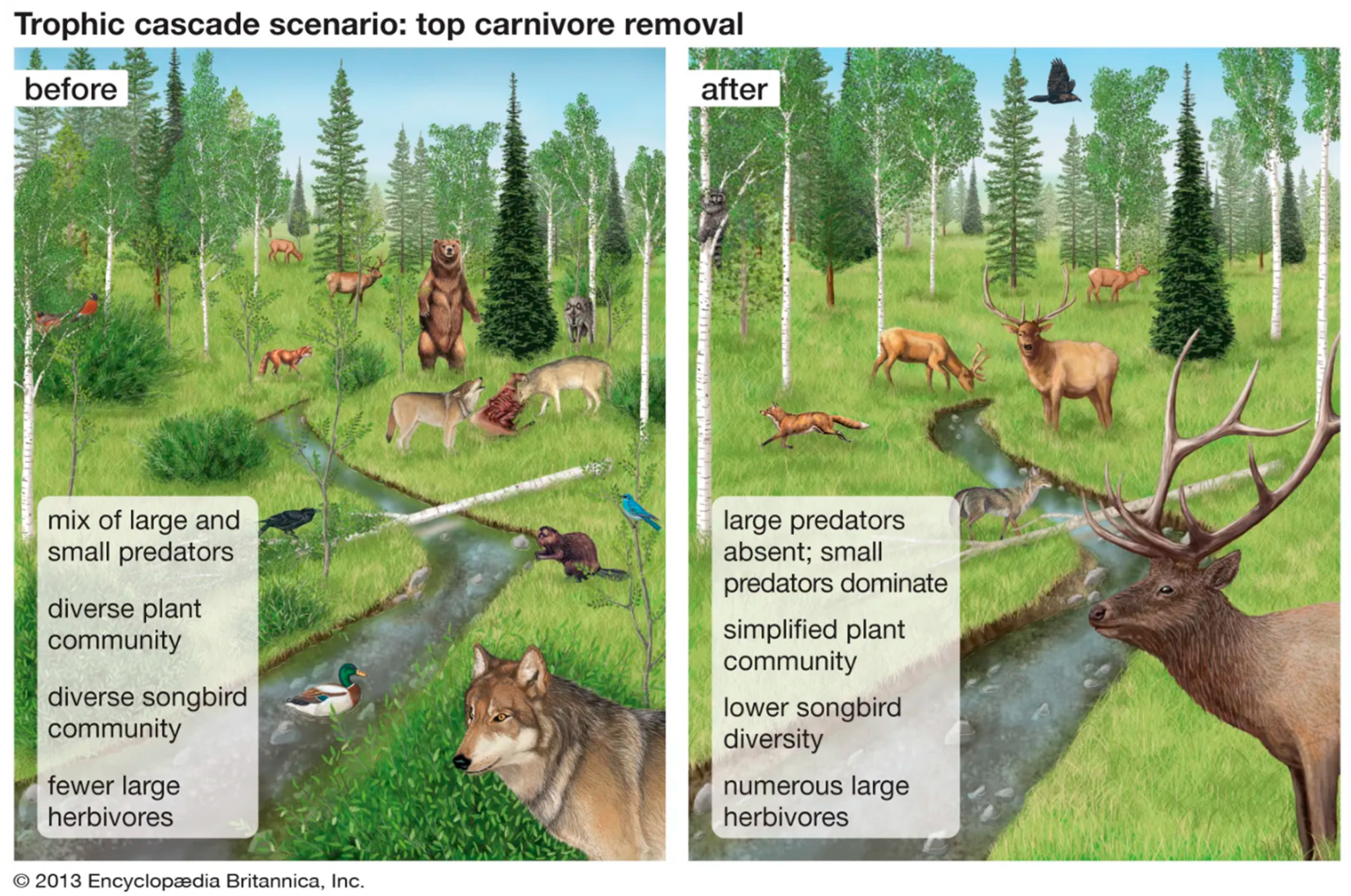 Diversity 17 00200 g012 Diversity 17 00200 g012