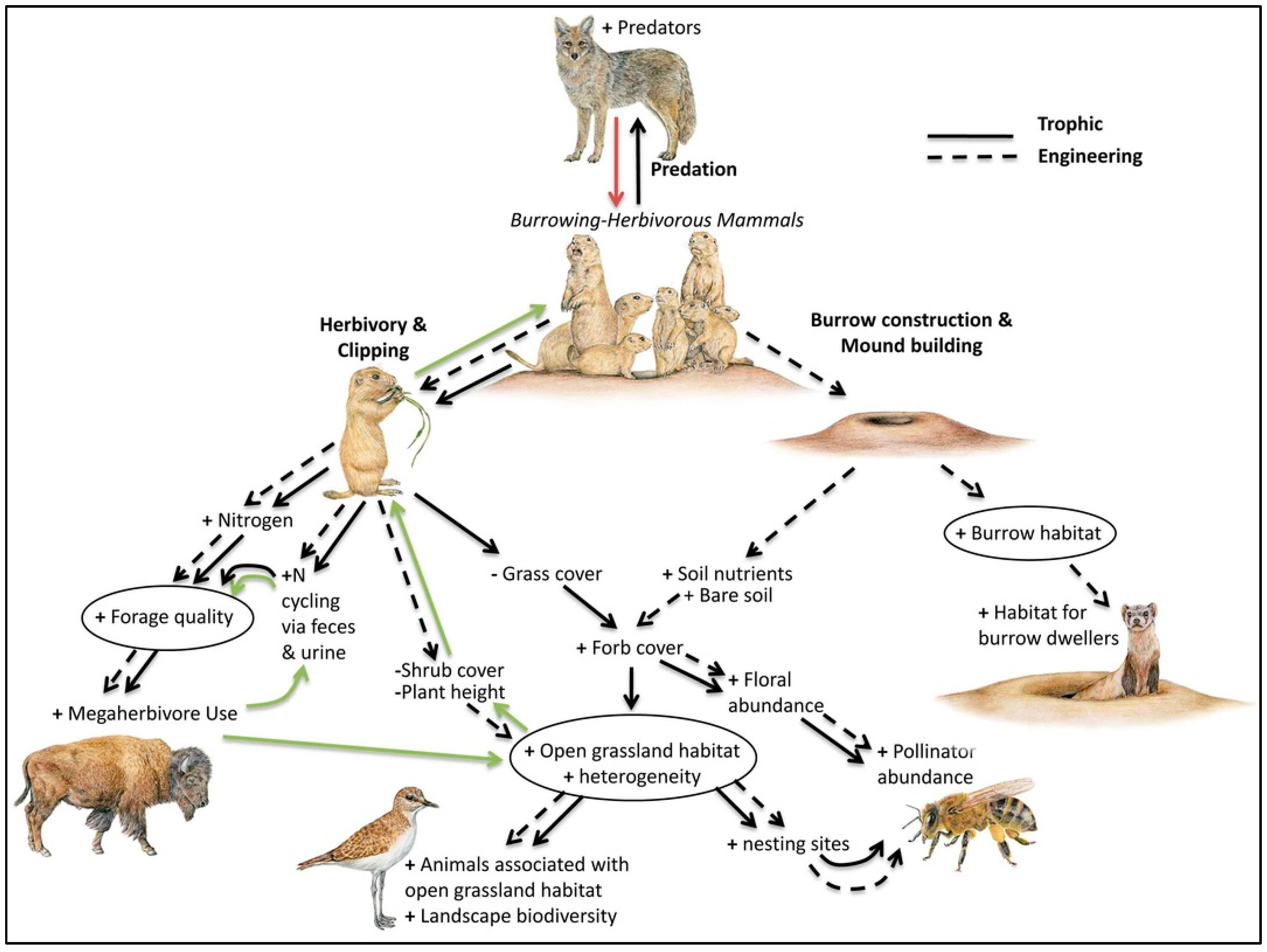 Diversity 17 00200 g013 Diversity 17 00200 g013