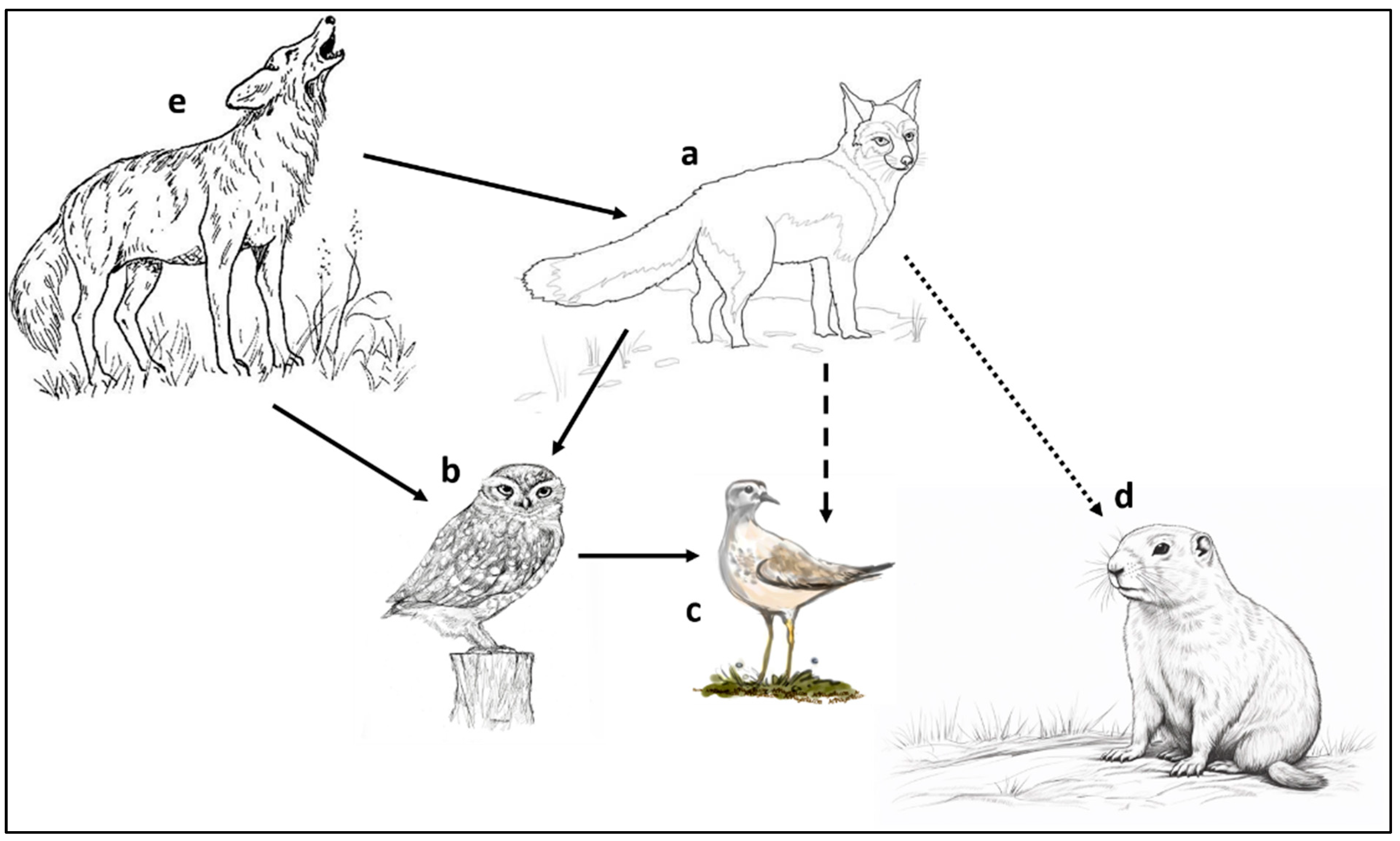 Diversity 17 00200 g014 Diversity 17 00200 g014