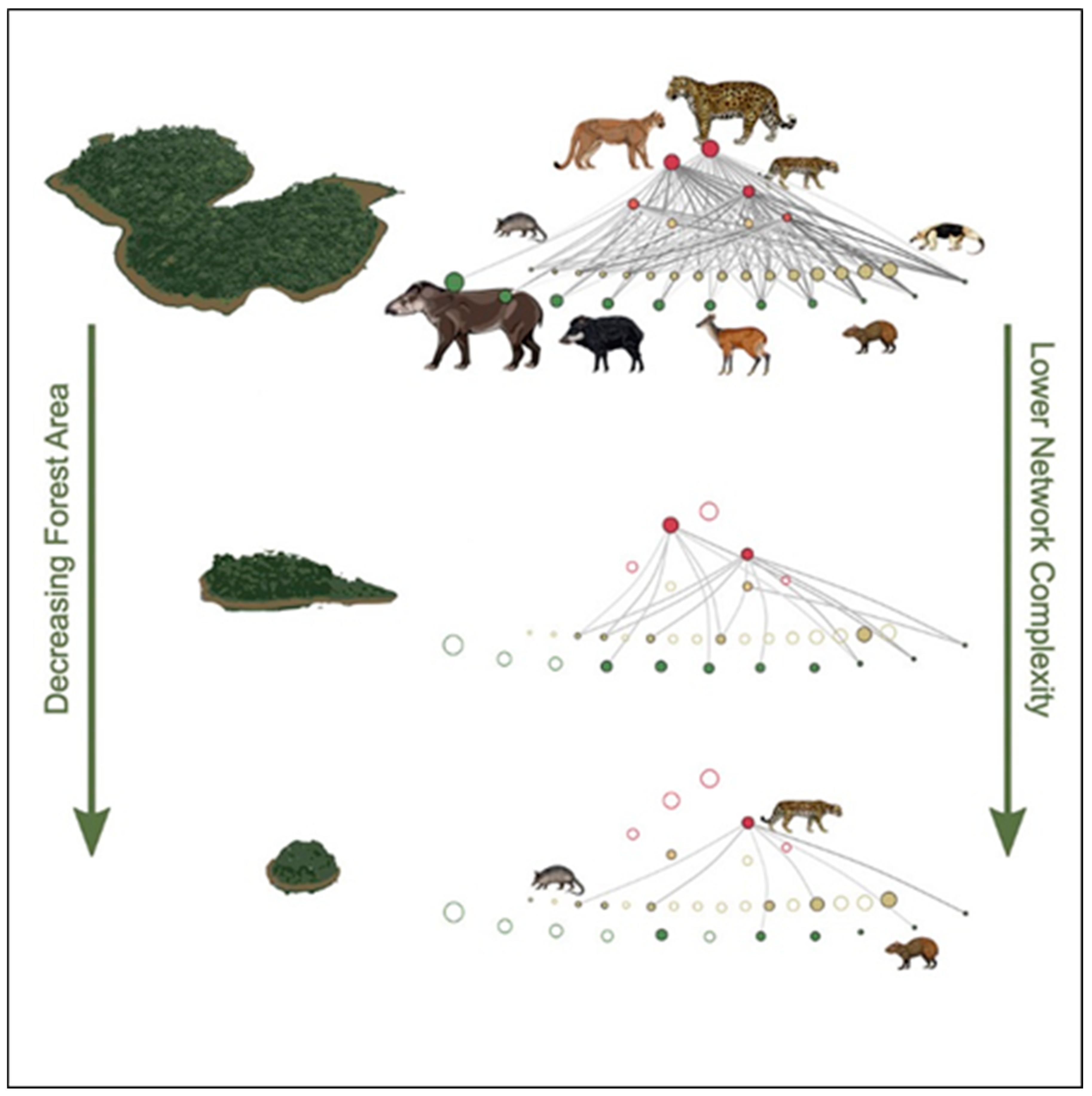 Diversity 17 00200 g015 Diversity 17 00200 g015