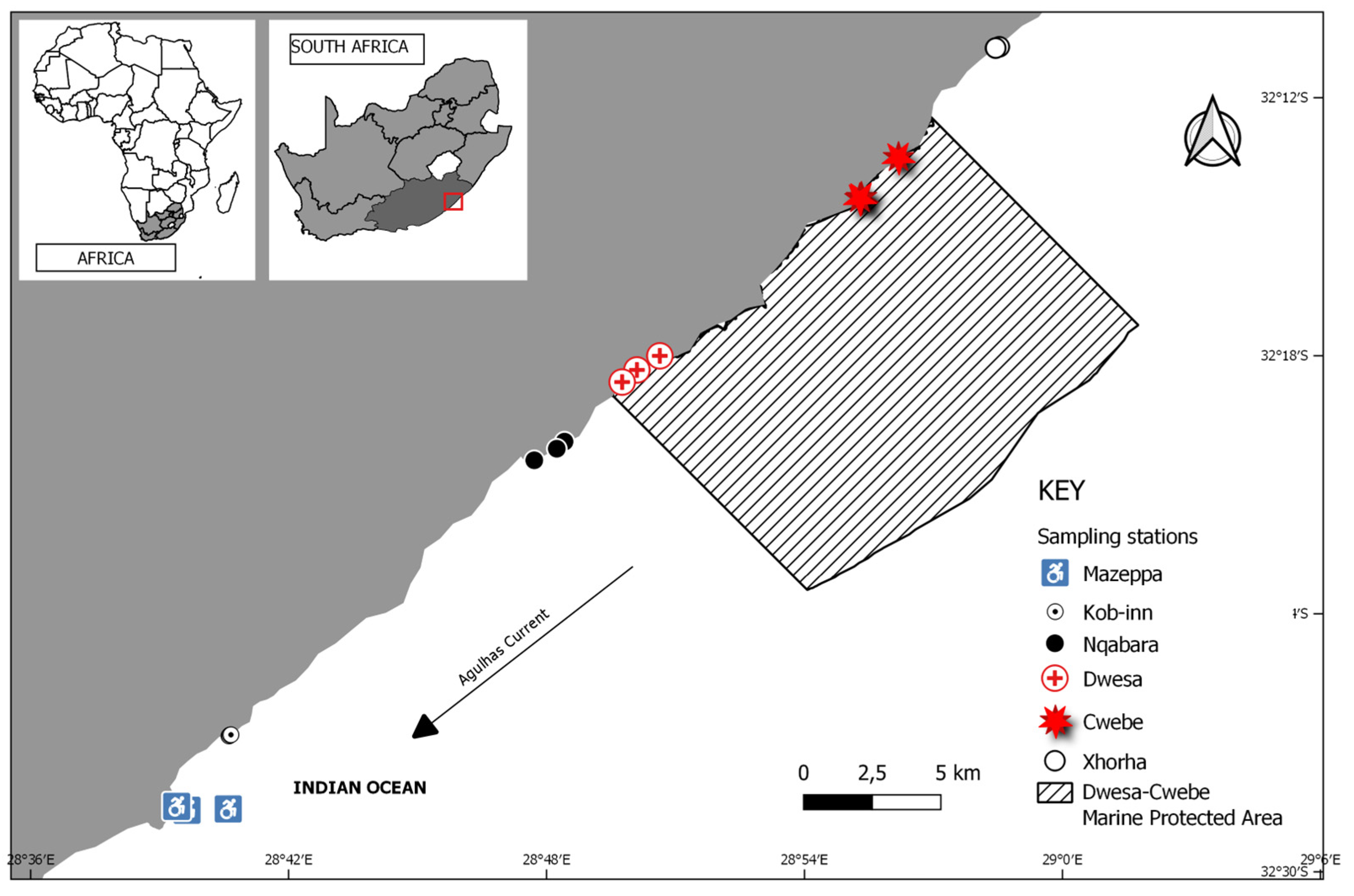 Diversity 17 00203 g001