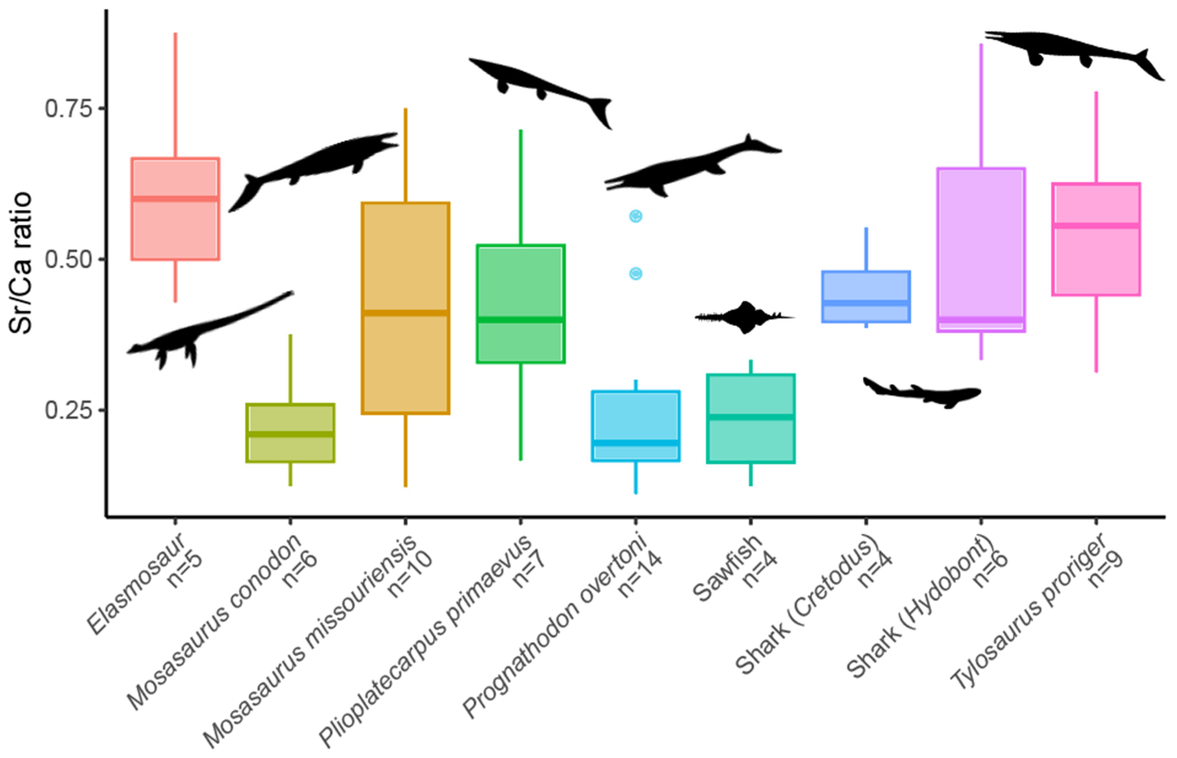 Diversity 17 00205 g004