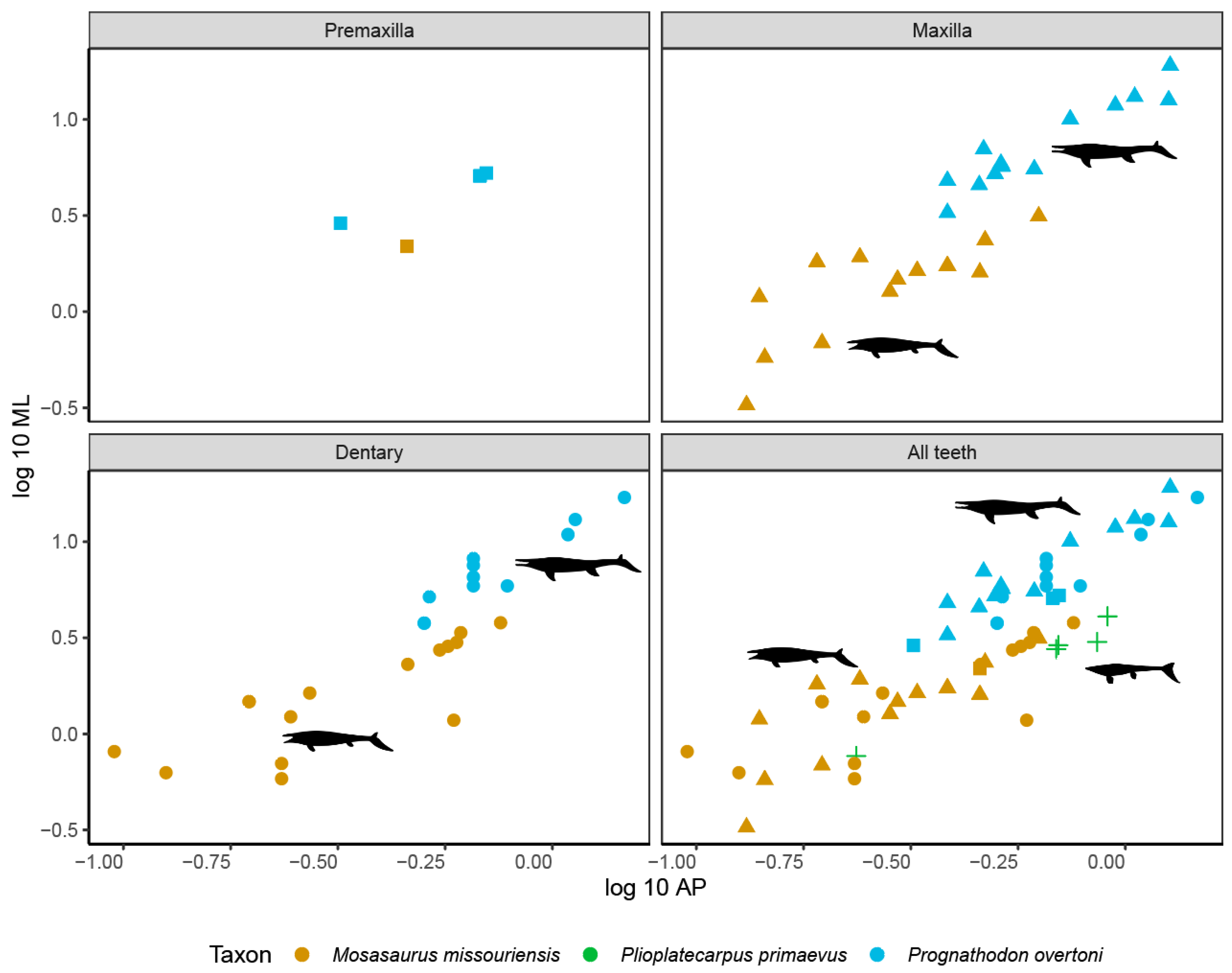 Diversity 17 00205 g006