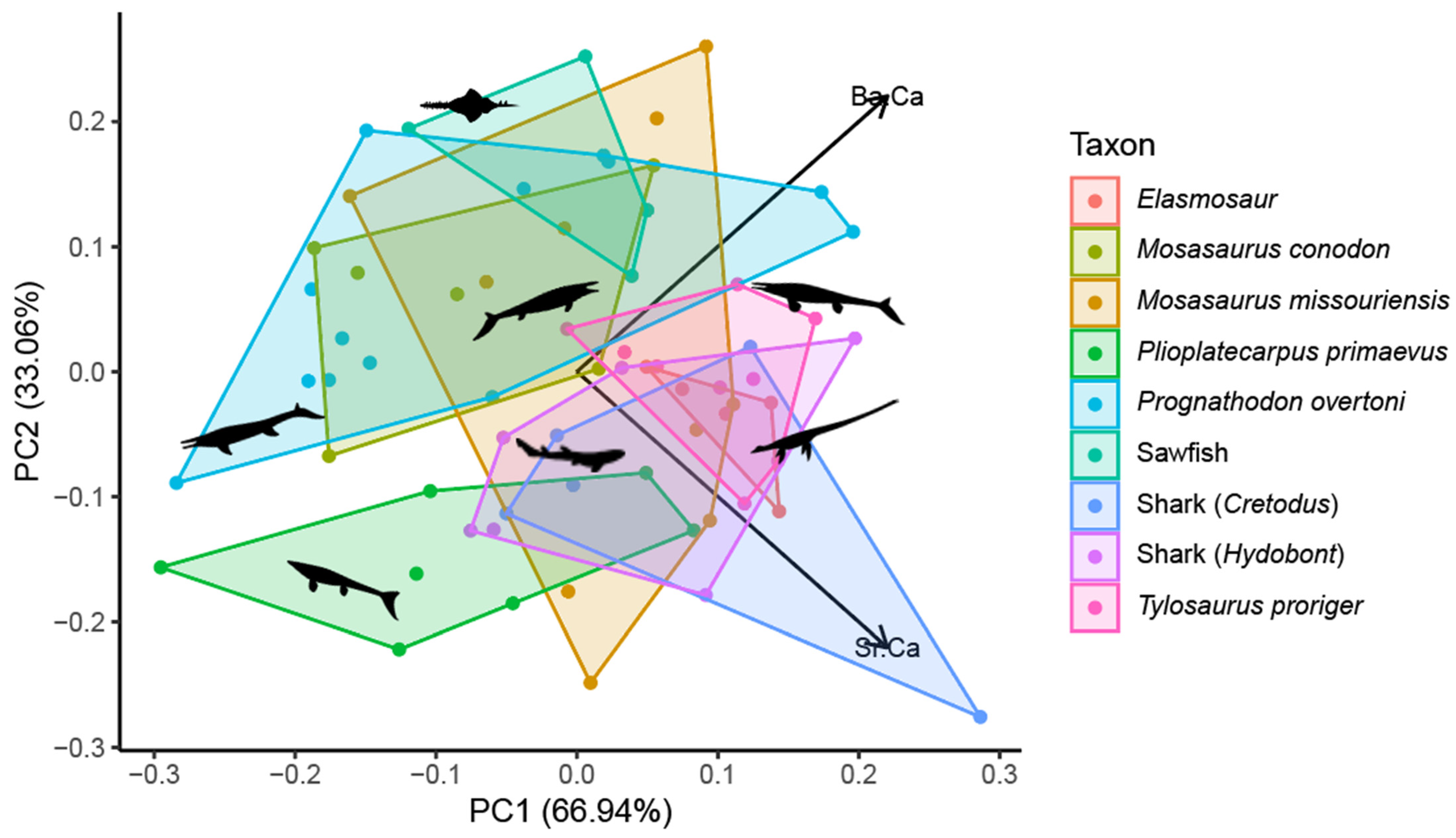 Diversity 17 00205 g007