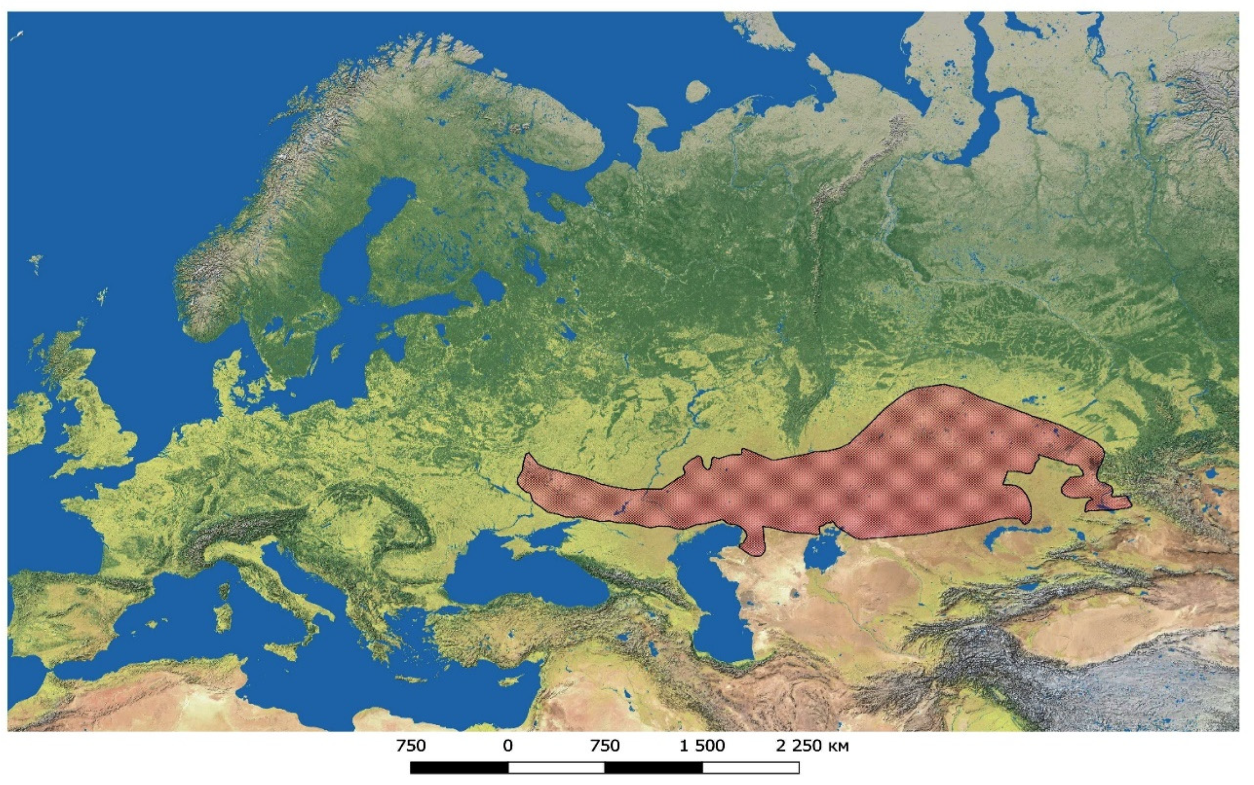 Diversity 17 00206 g001