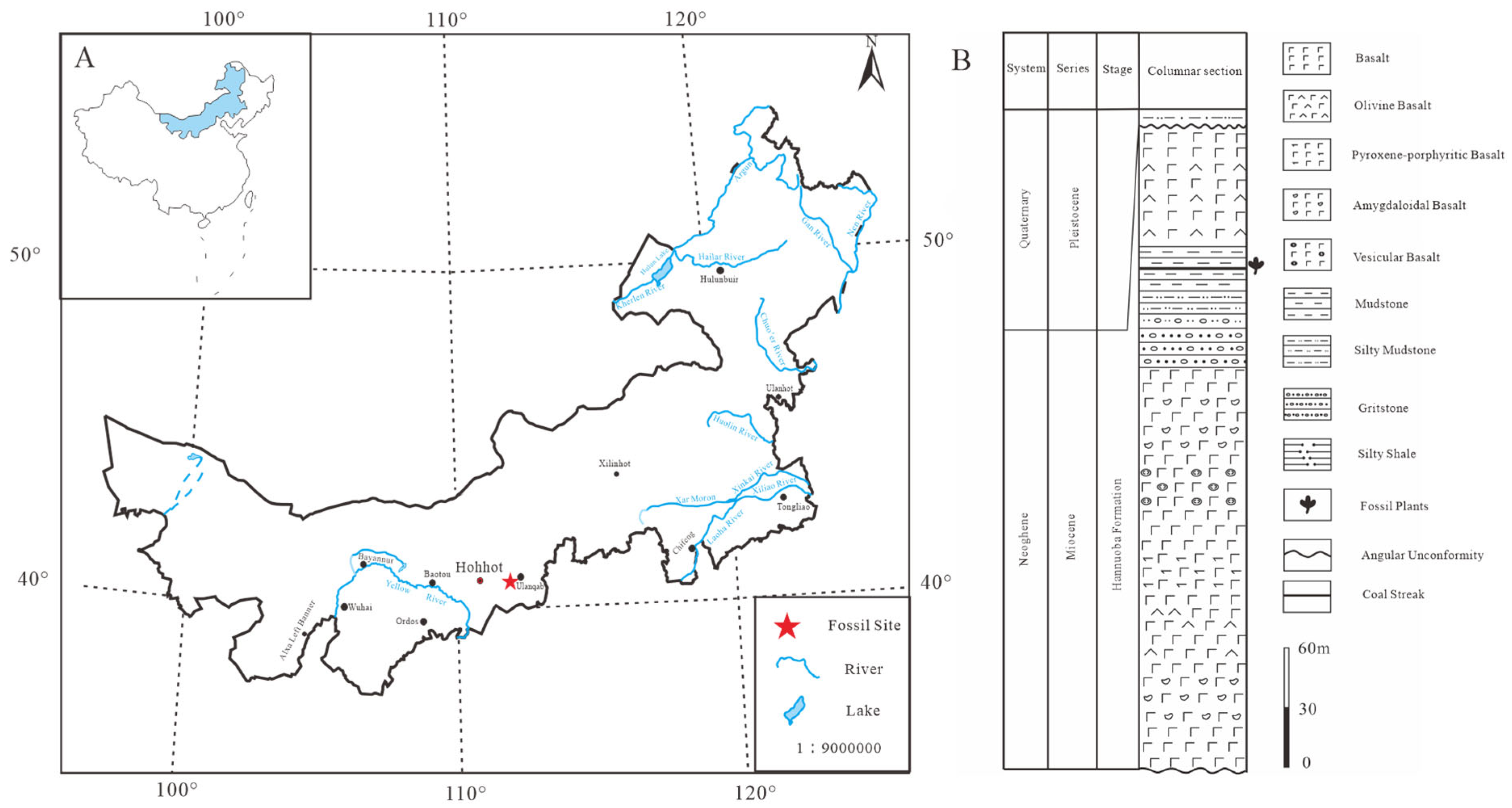 Diversity 17 00218 g002