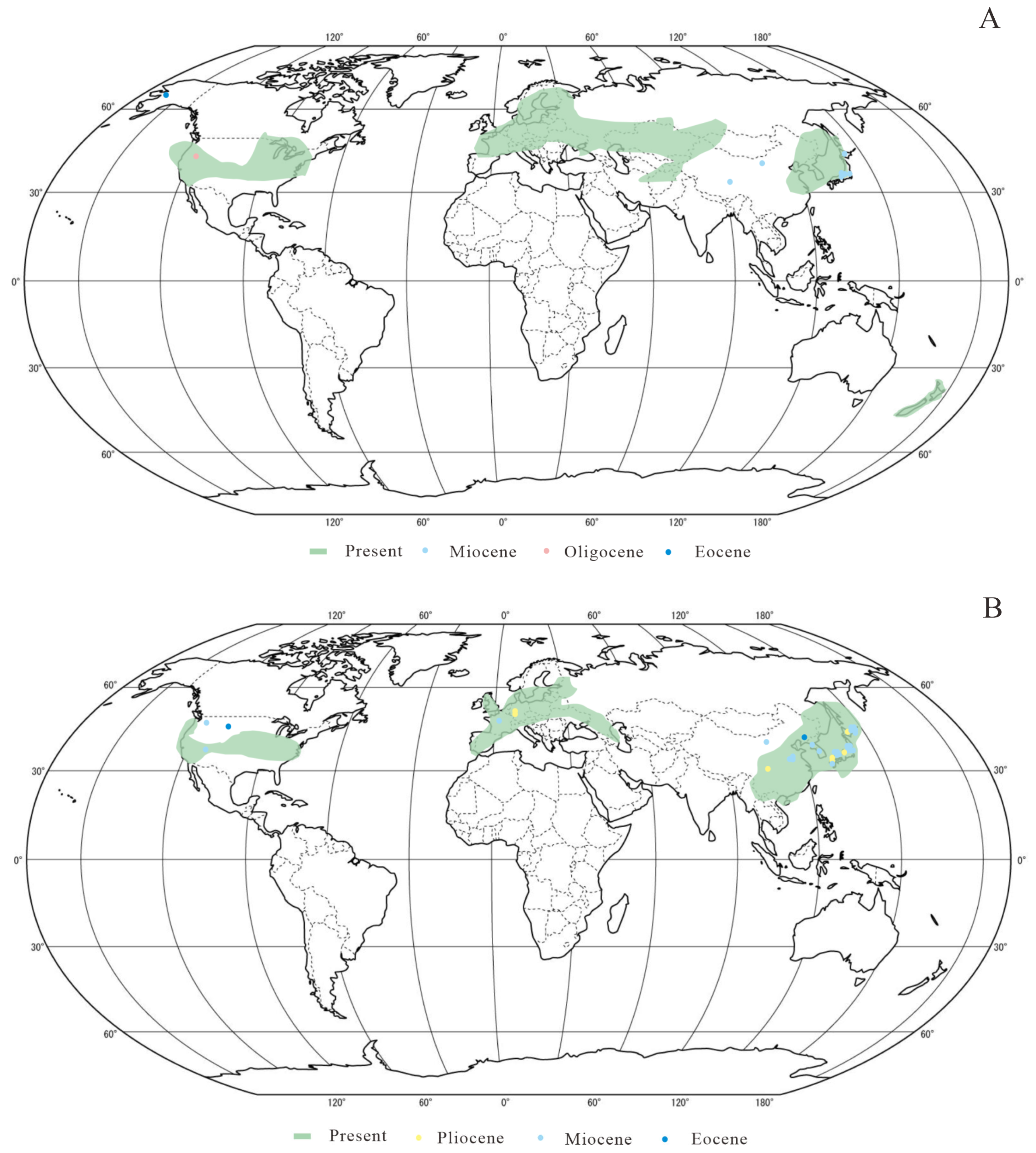 Diversity 17 00218 g008
