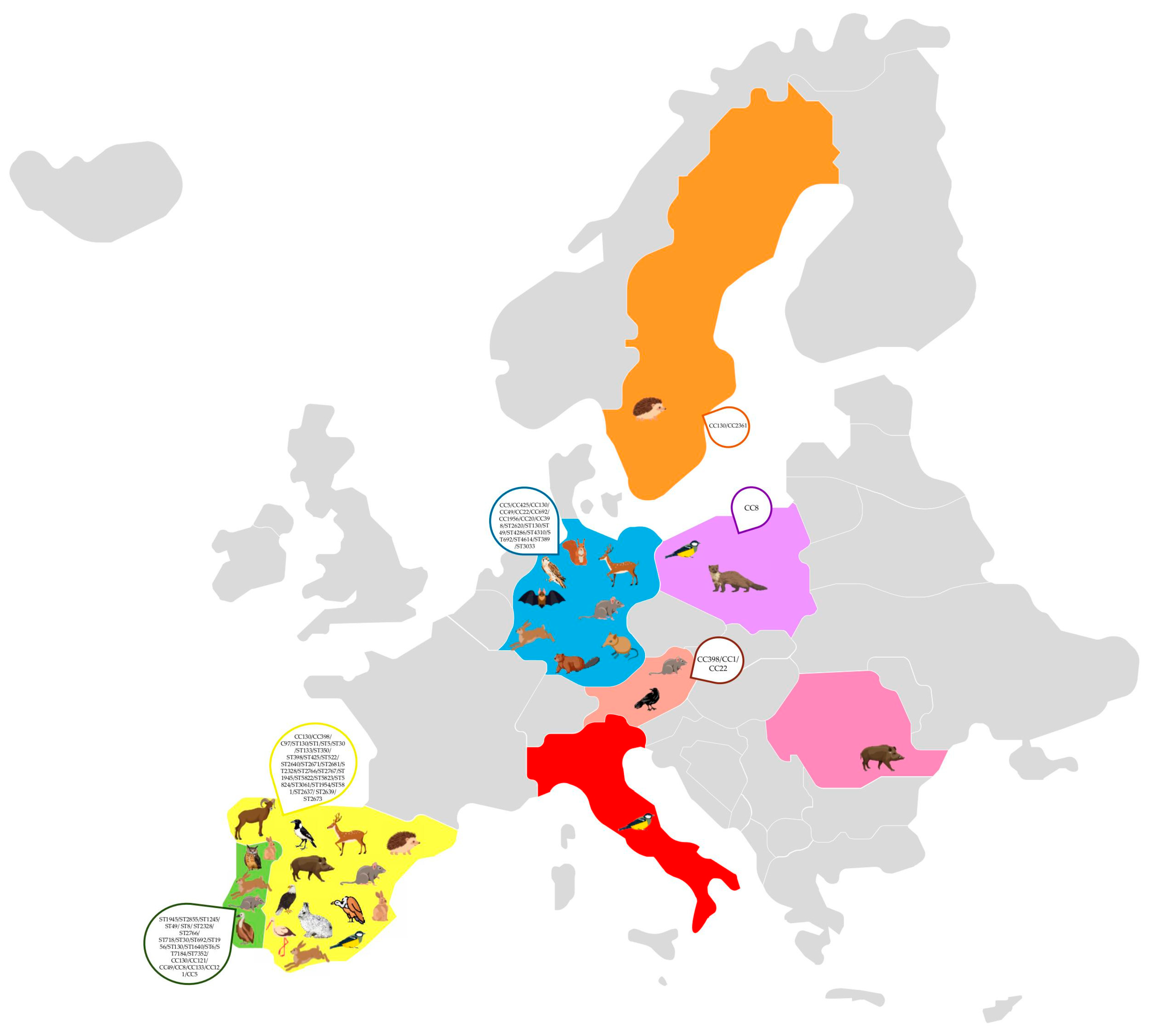 Diversity 17 00220 g002