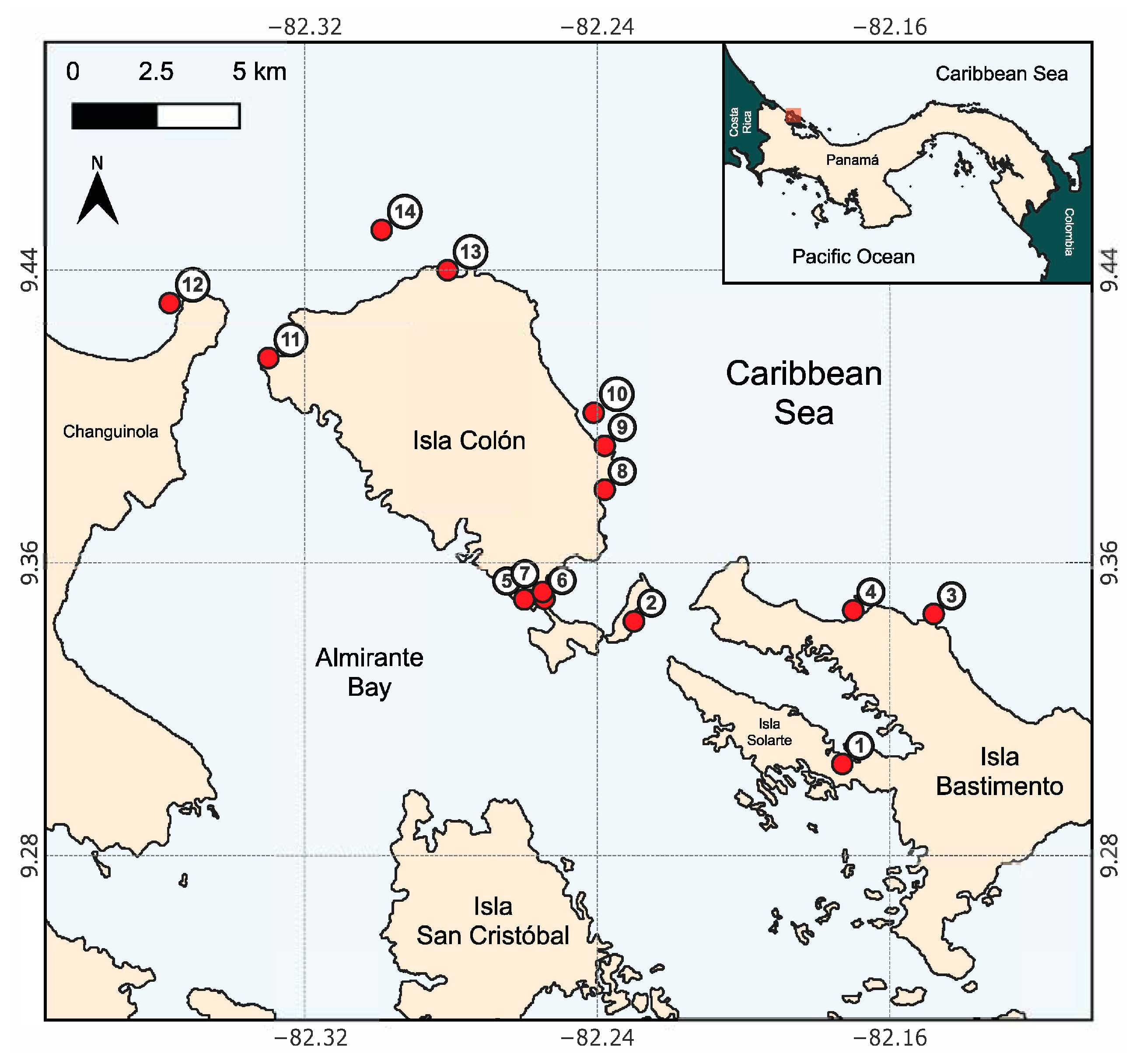 Diversity 17 00222 g001