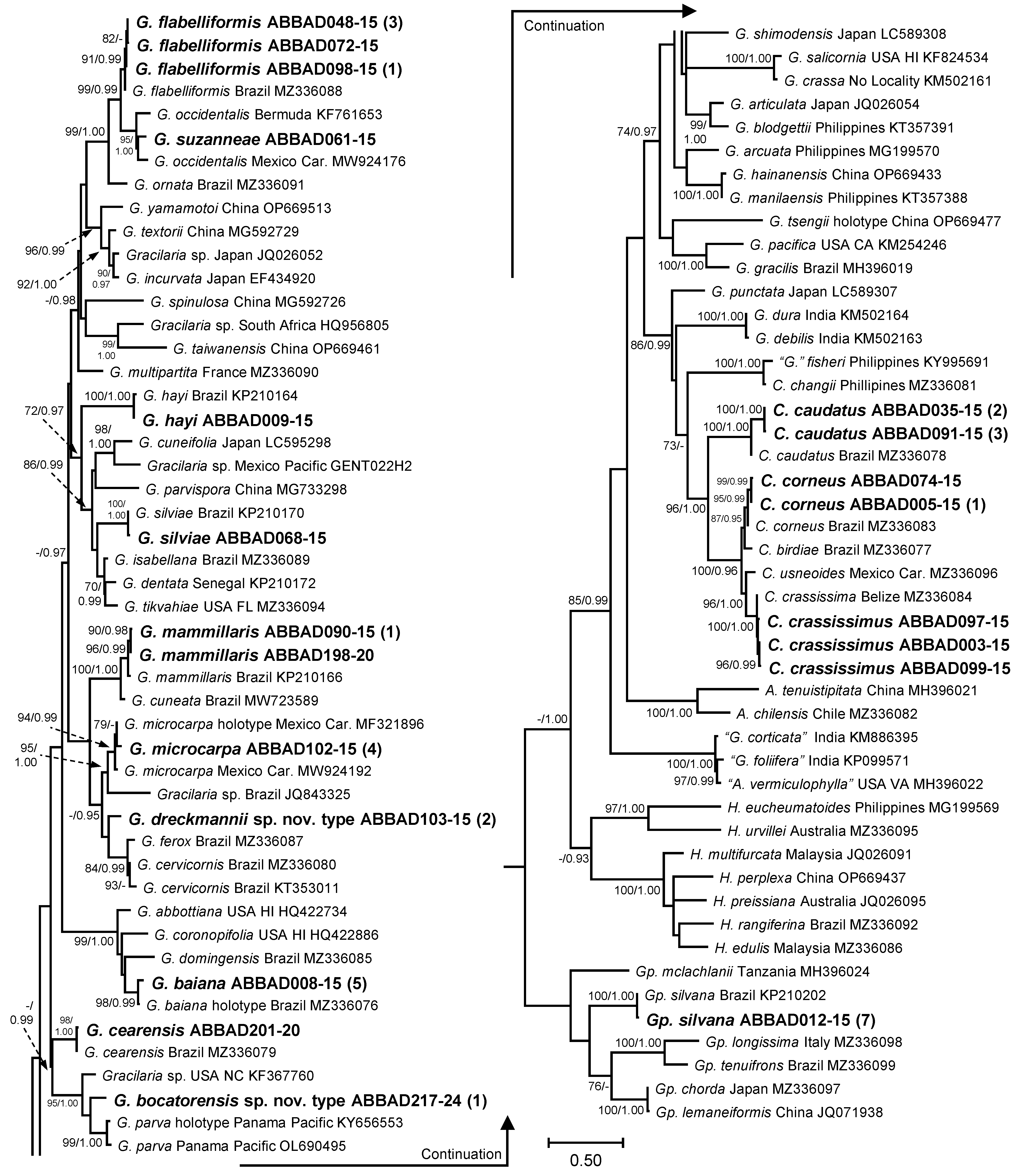 Diversity 17 00222 g006