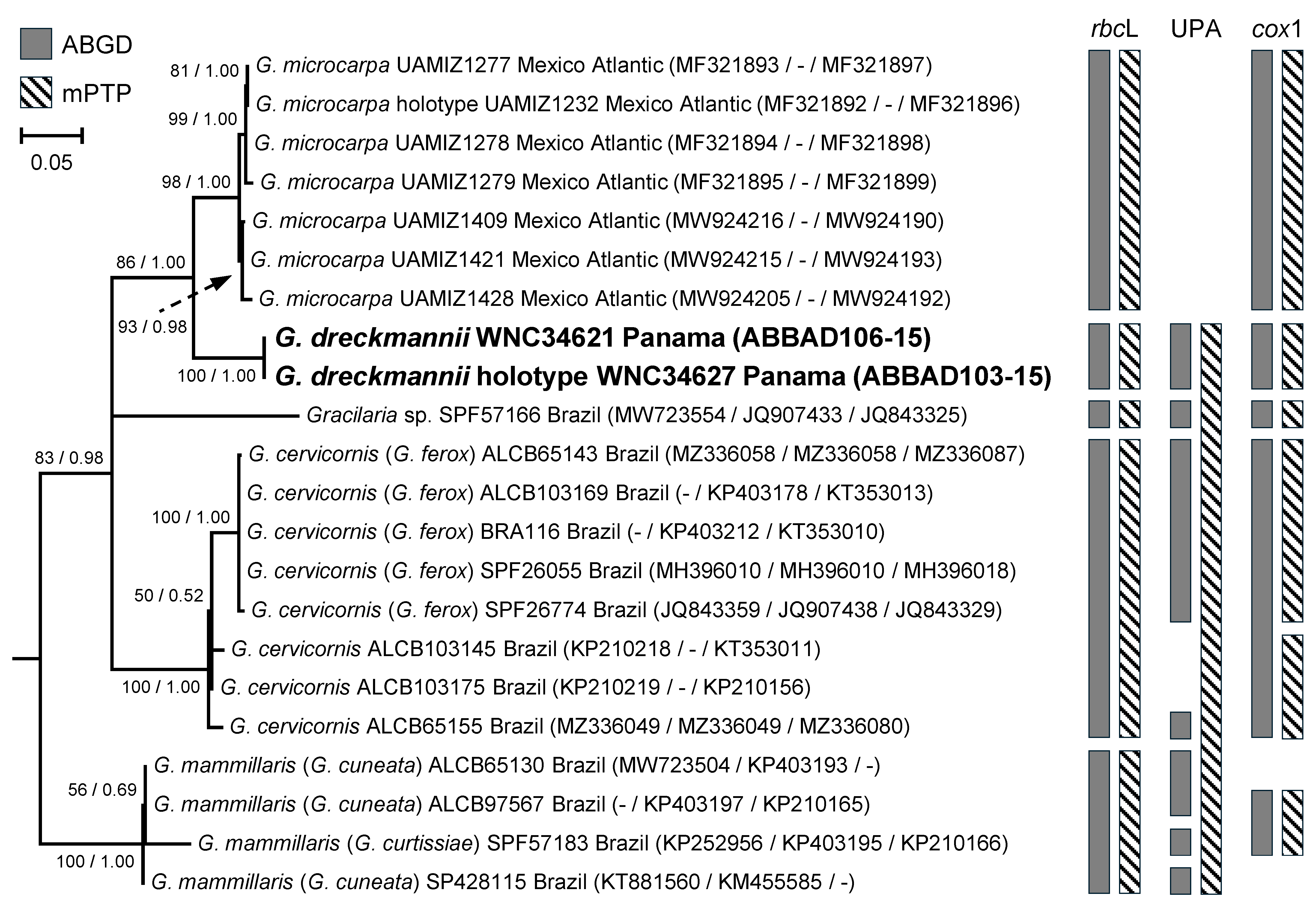 Diversity 17 00222 g007