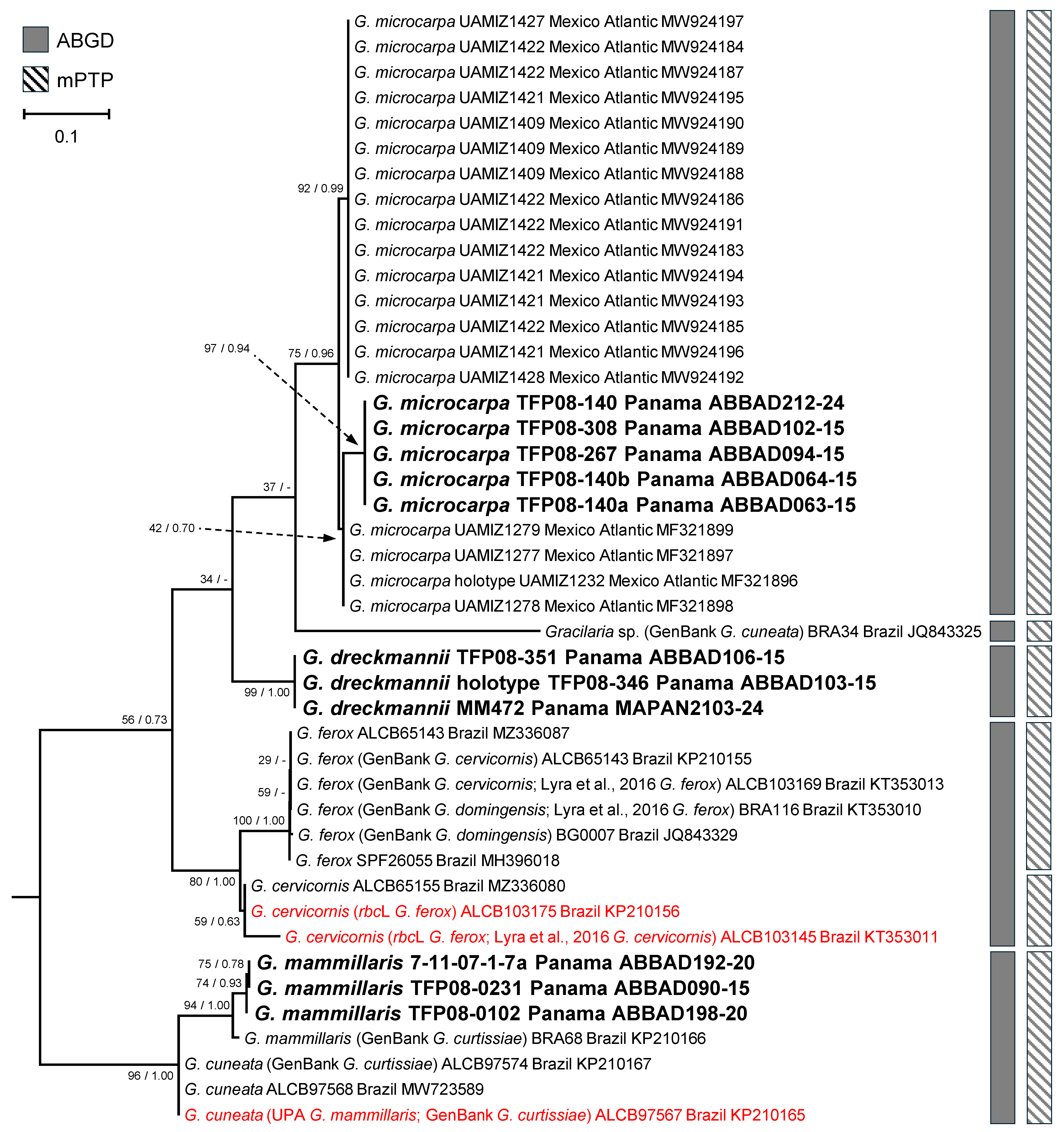 Diversity 17 00222 g009