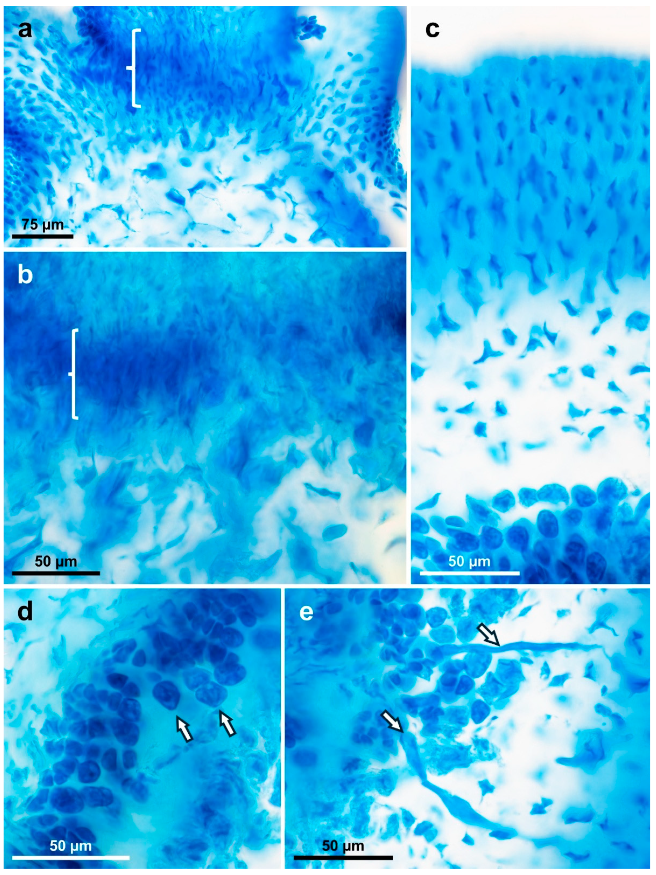 Diversity 17 00222 g014