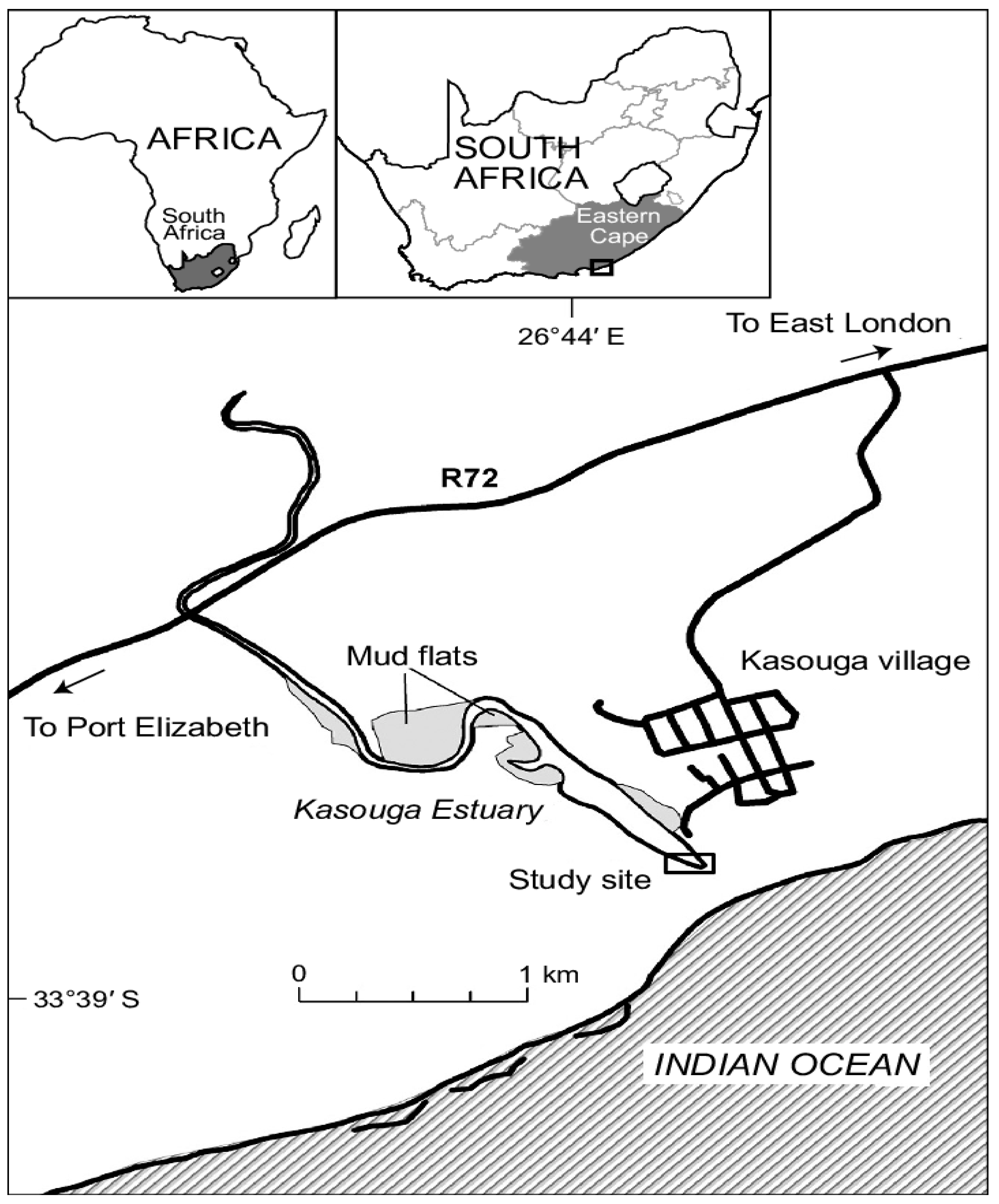 Diversity 17 00223 g001