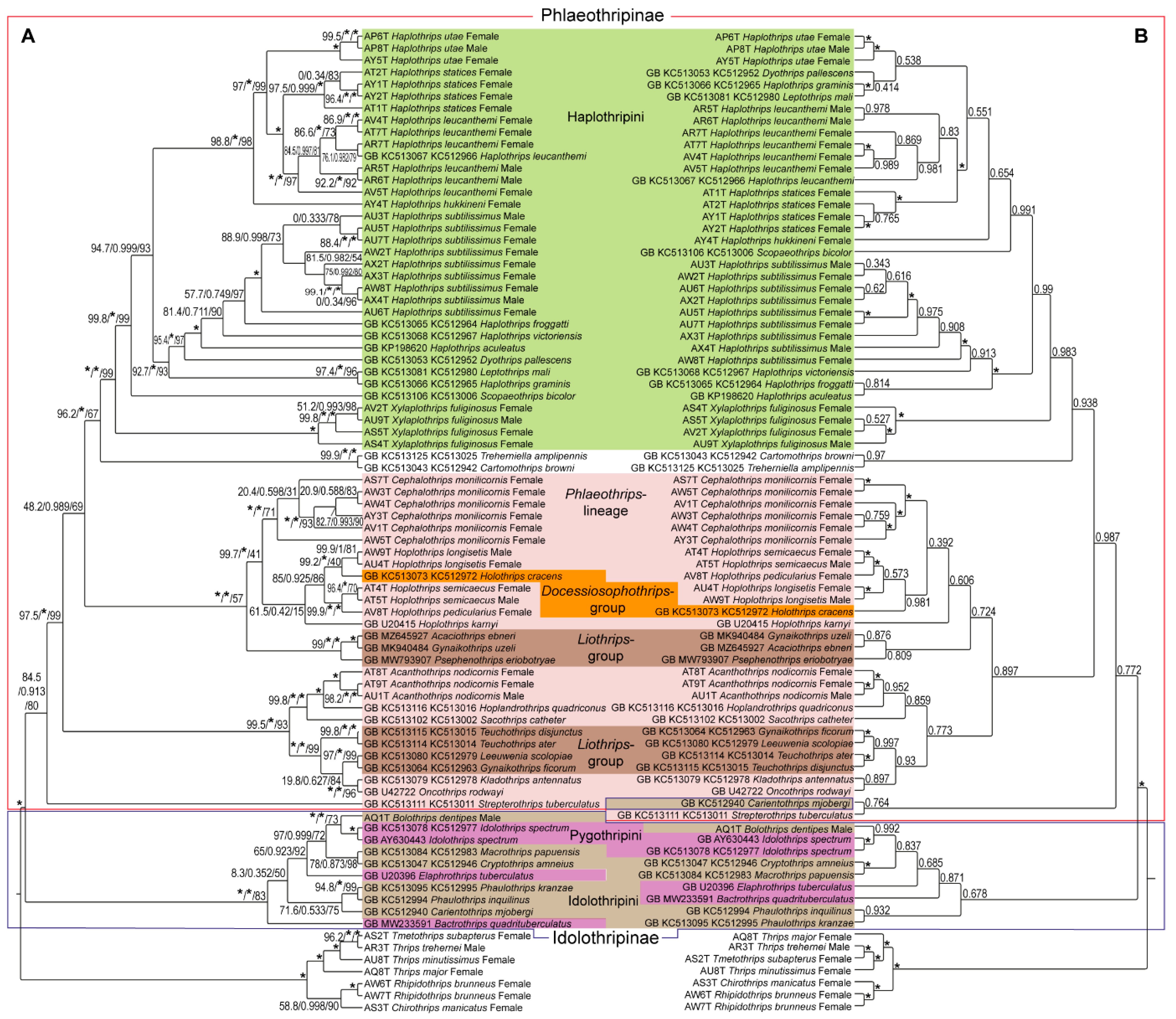 Diversity 17 00226 g002