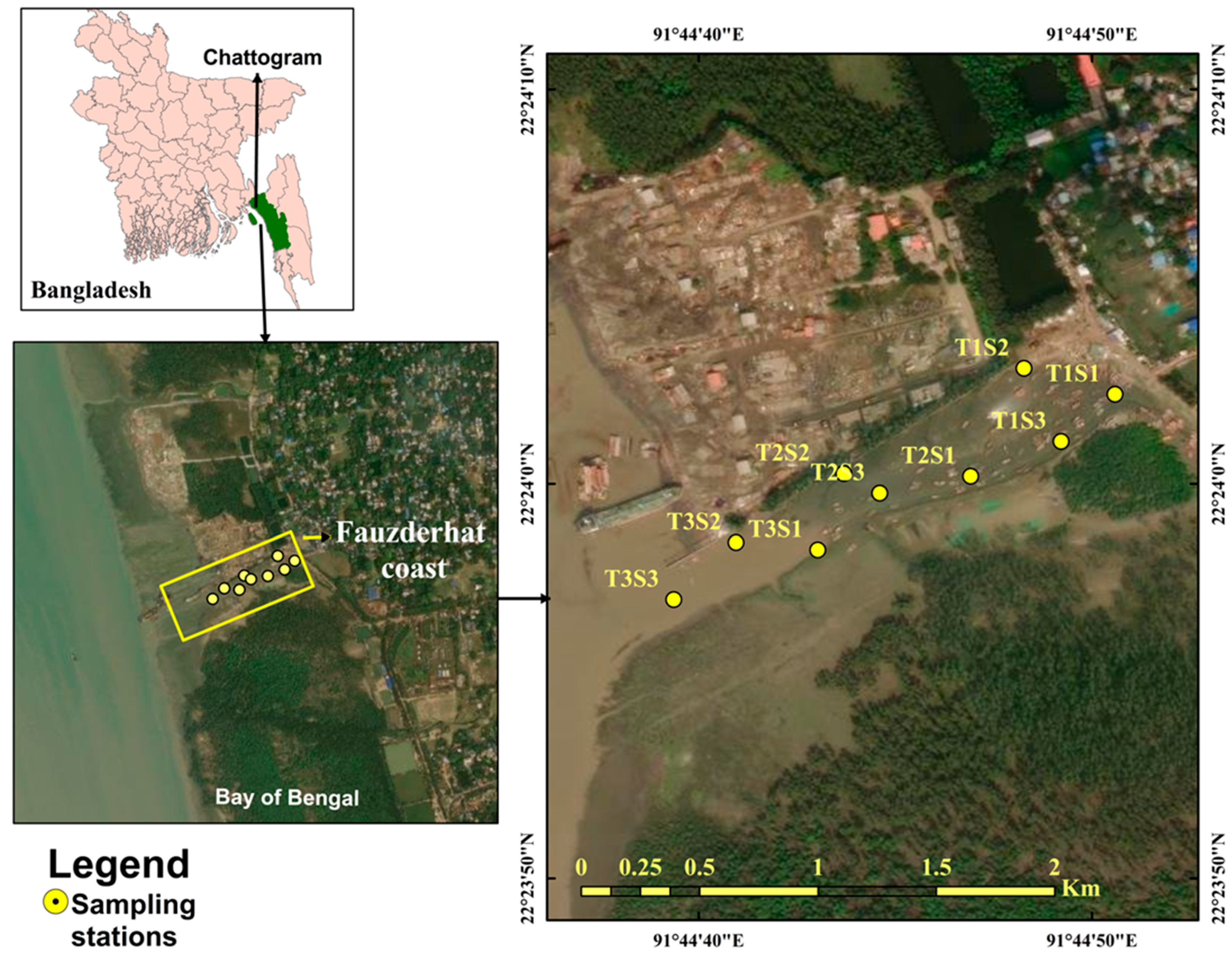 Diversity 17 00231 g001