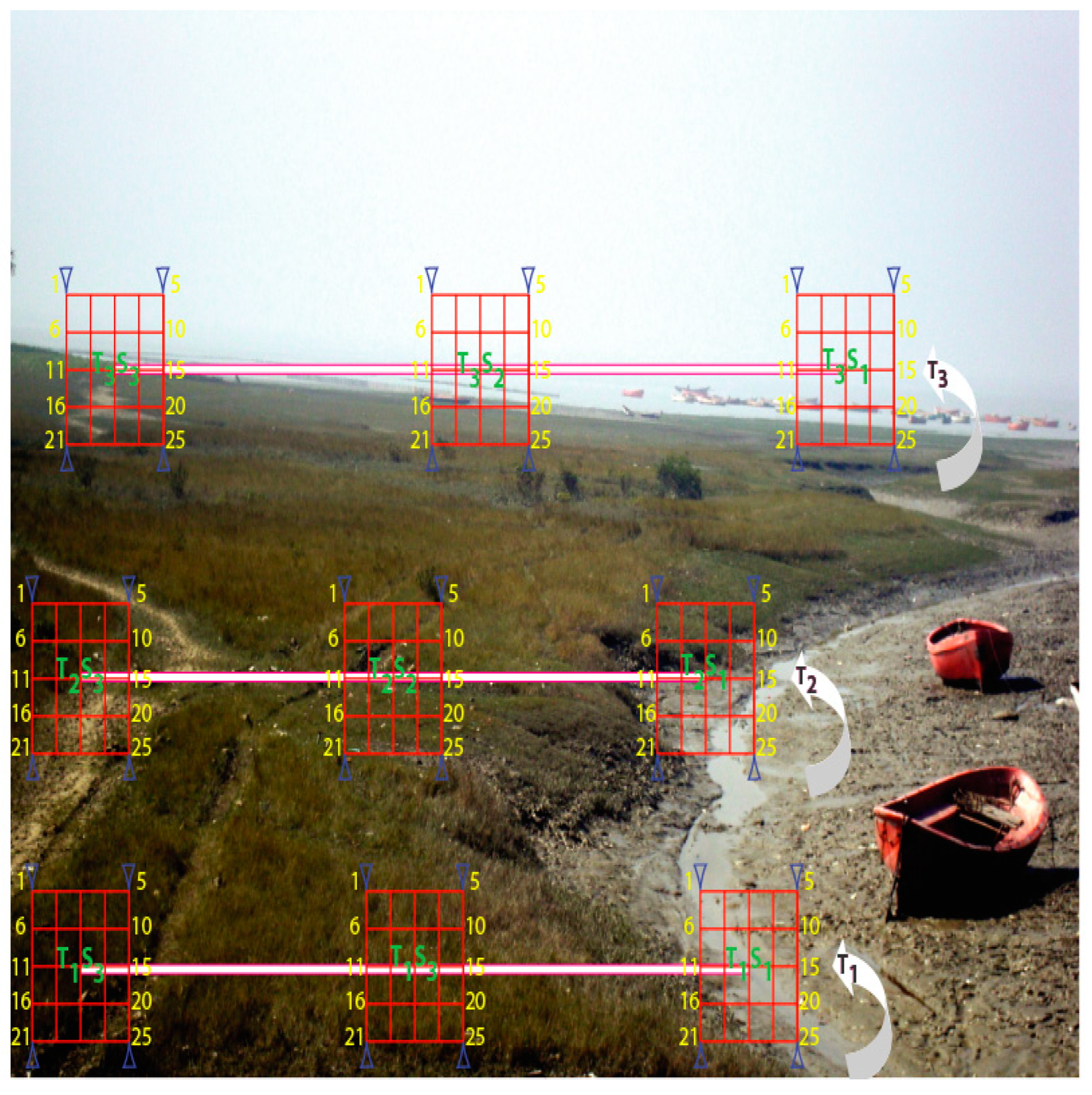 Diversity 17 00231 g002