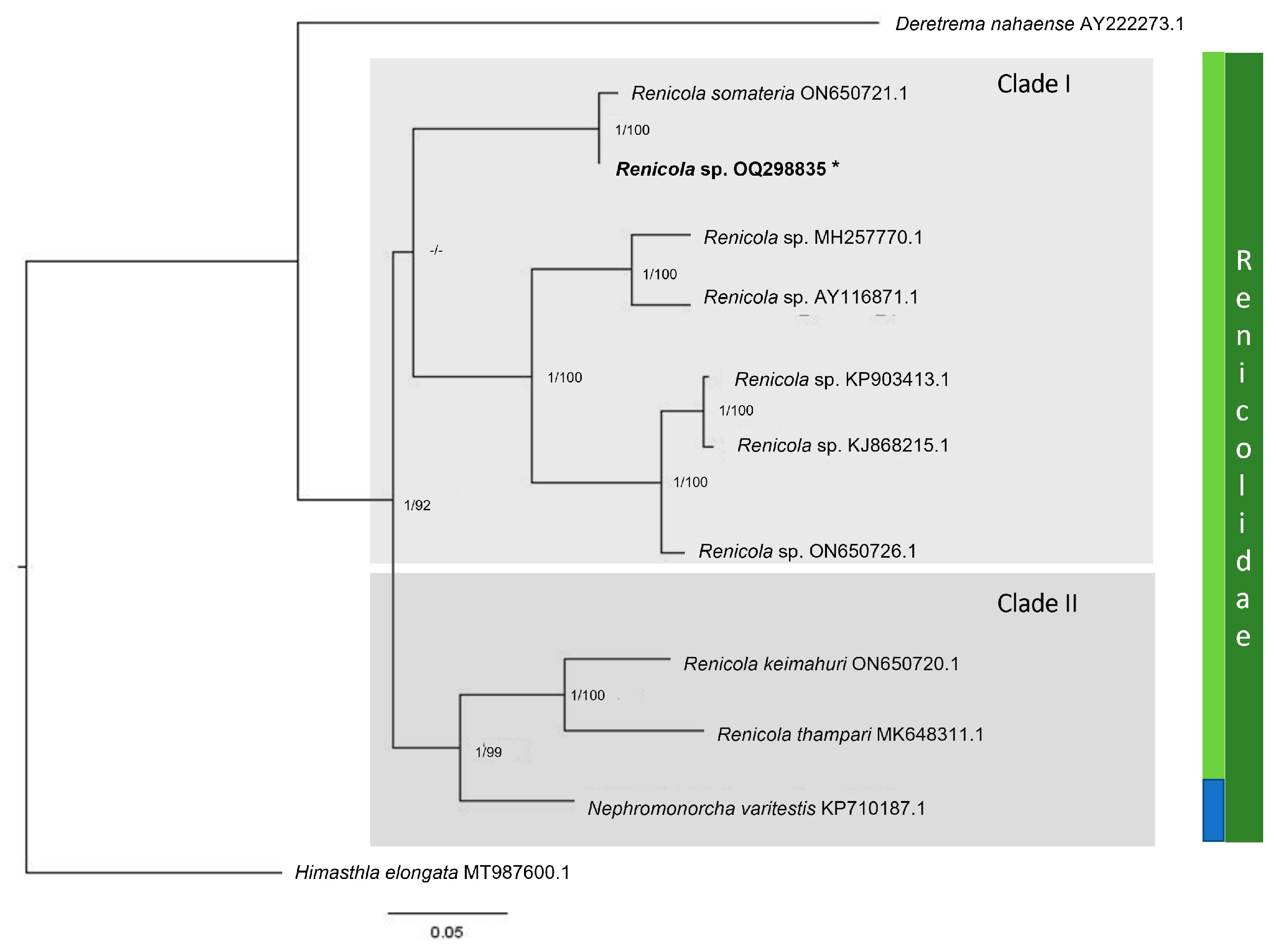 Diversity 17 00233 g004