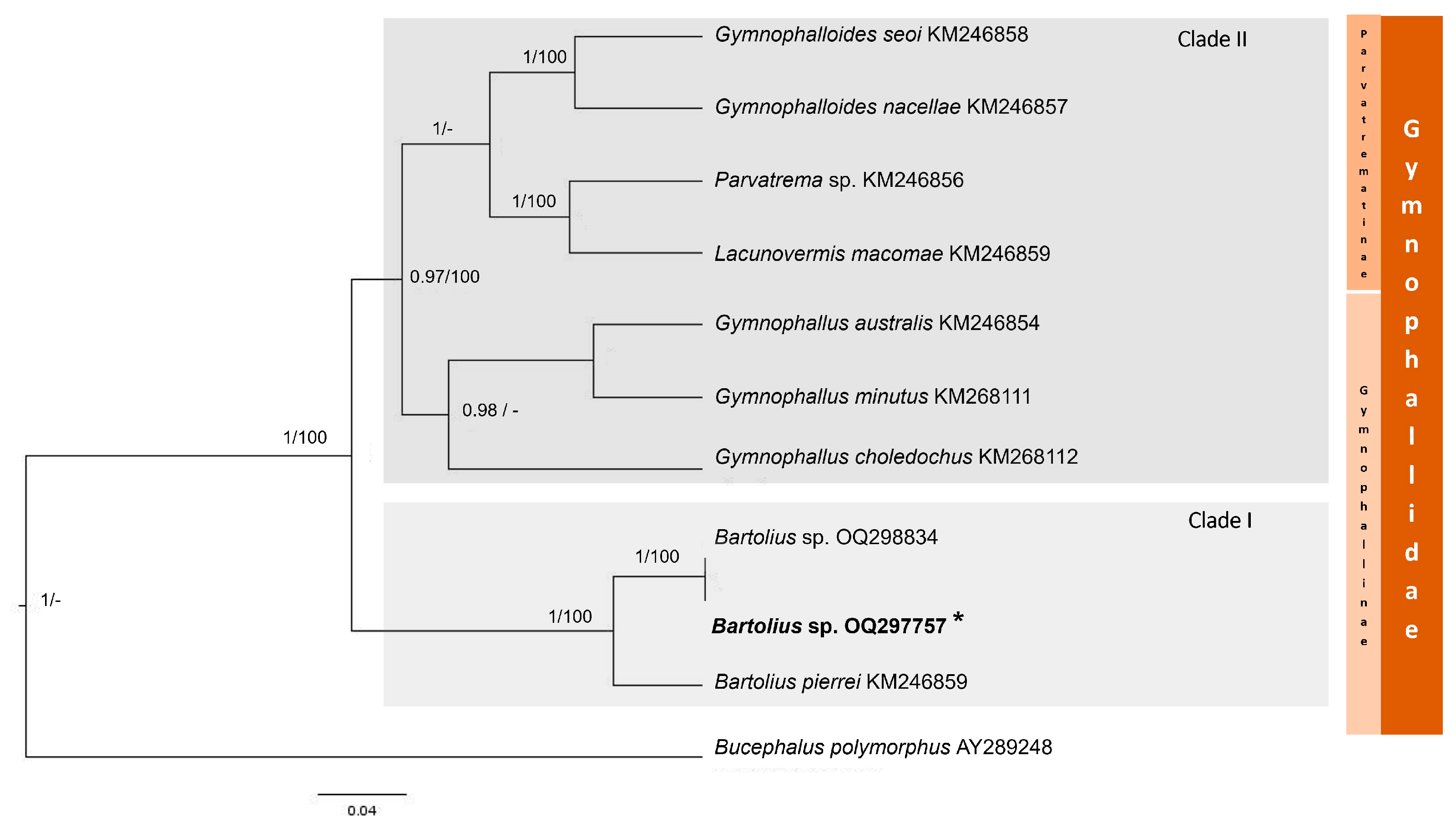 Diversity 17 00233 g005