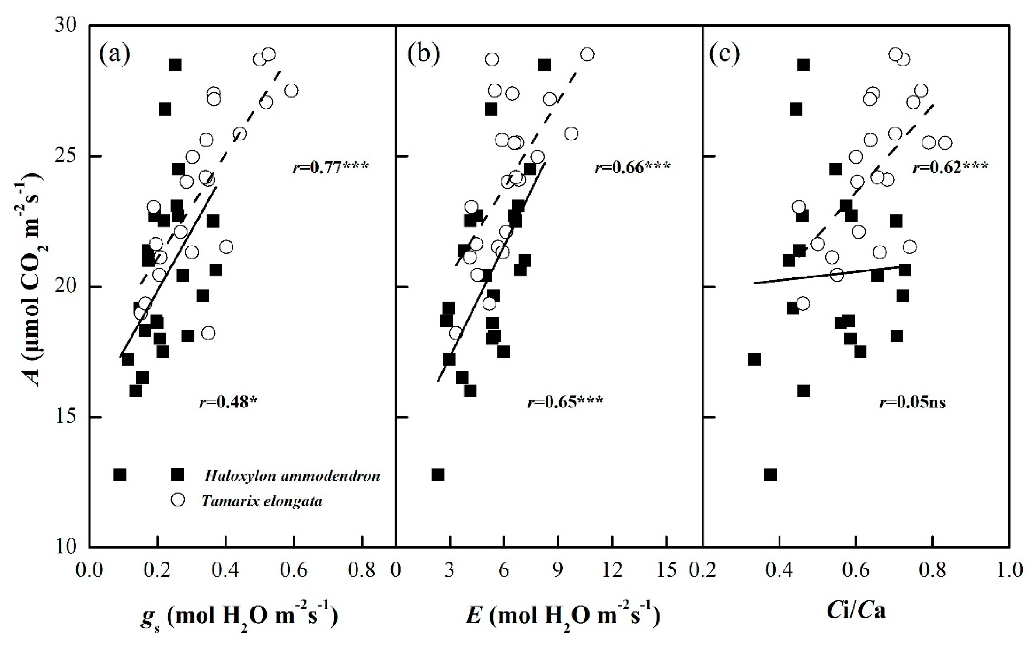 Diversity 17 00235 g006