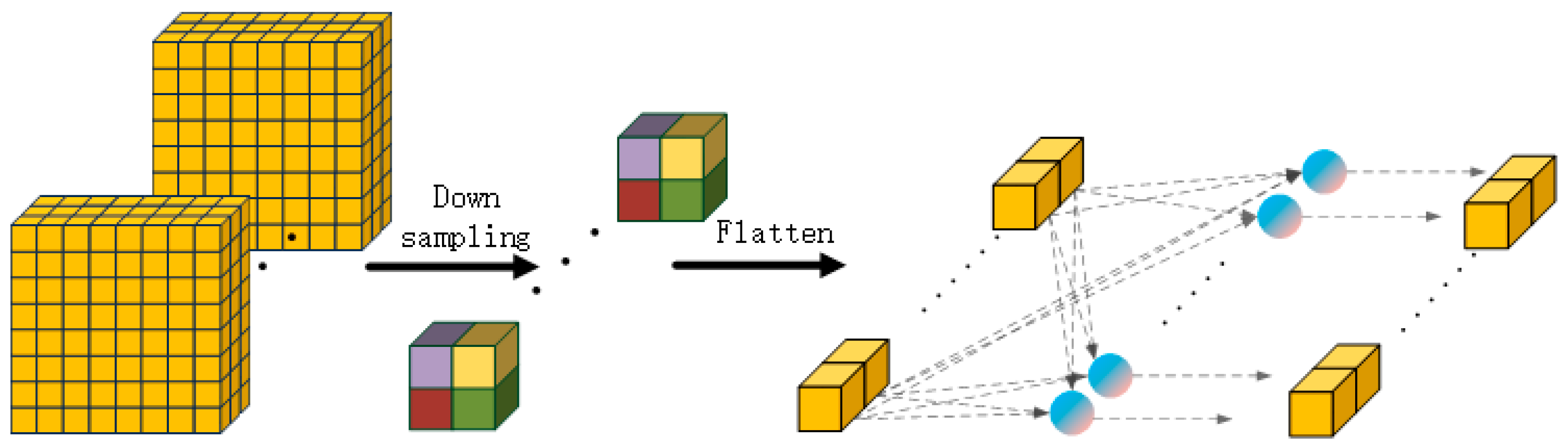Diversity 17 00237 g002