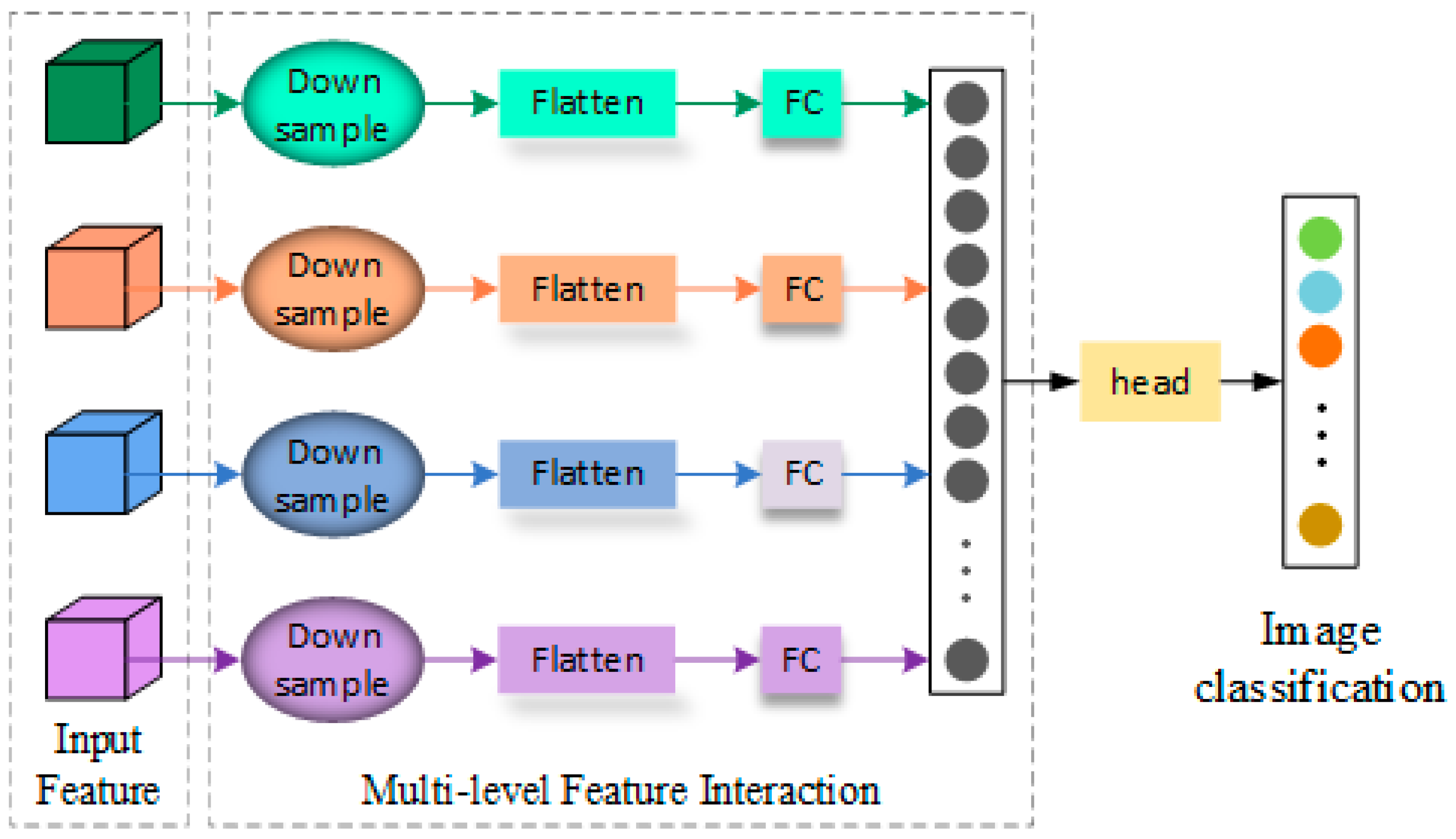 Diversity 17 00237 g003