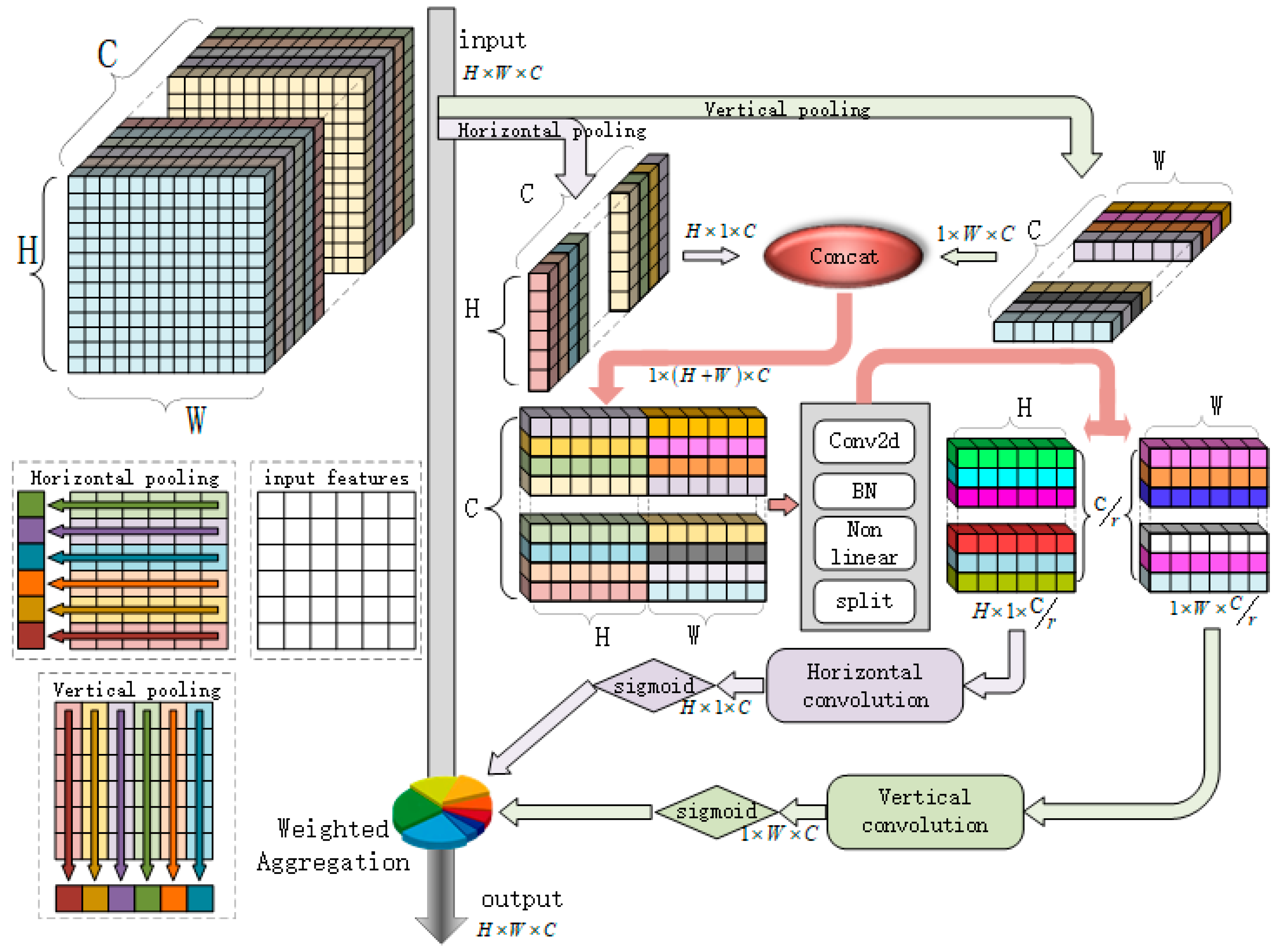 Diversity 17 00237 g004