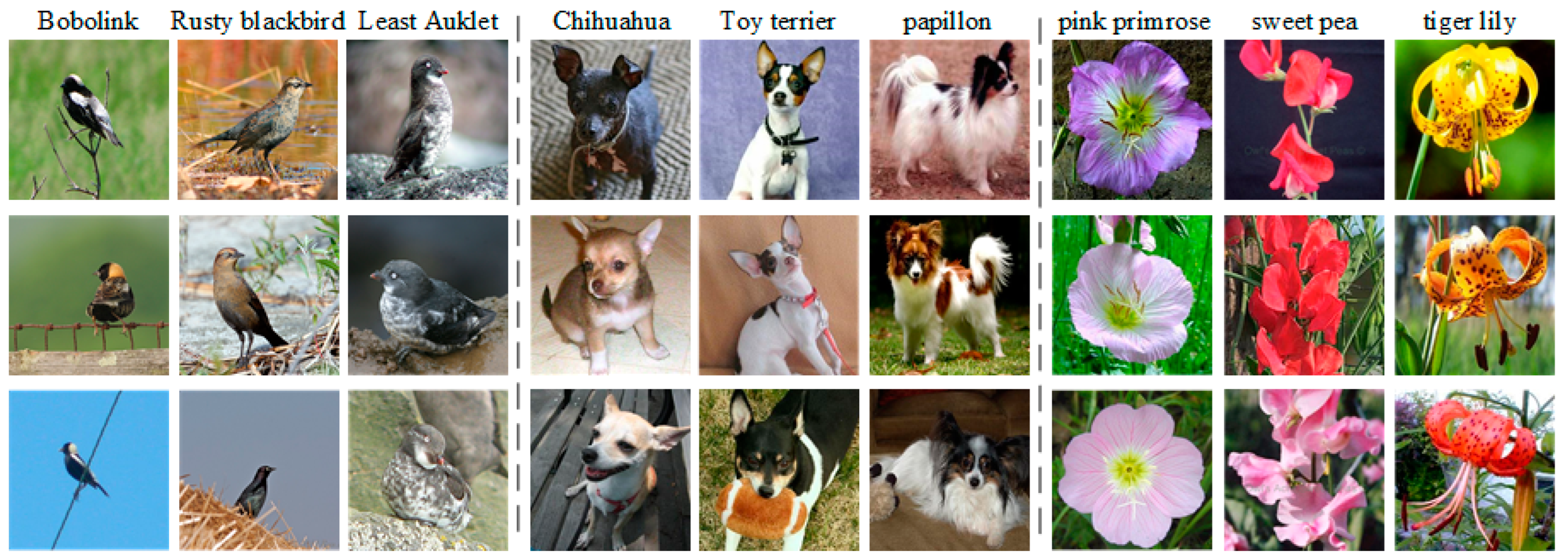 Diversity 17 00237 g005