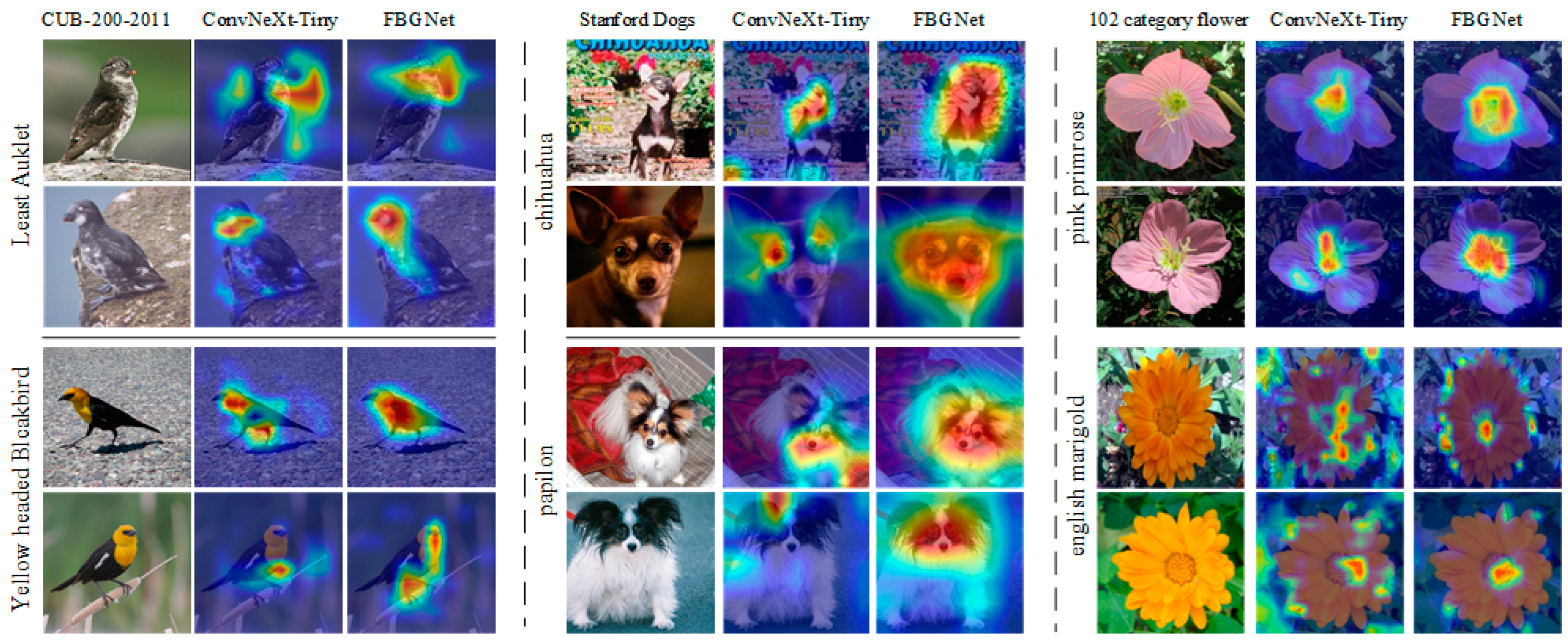 Diversity 17 00237 g007