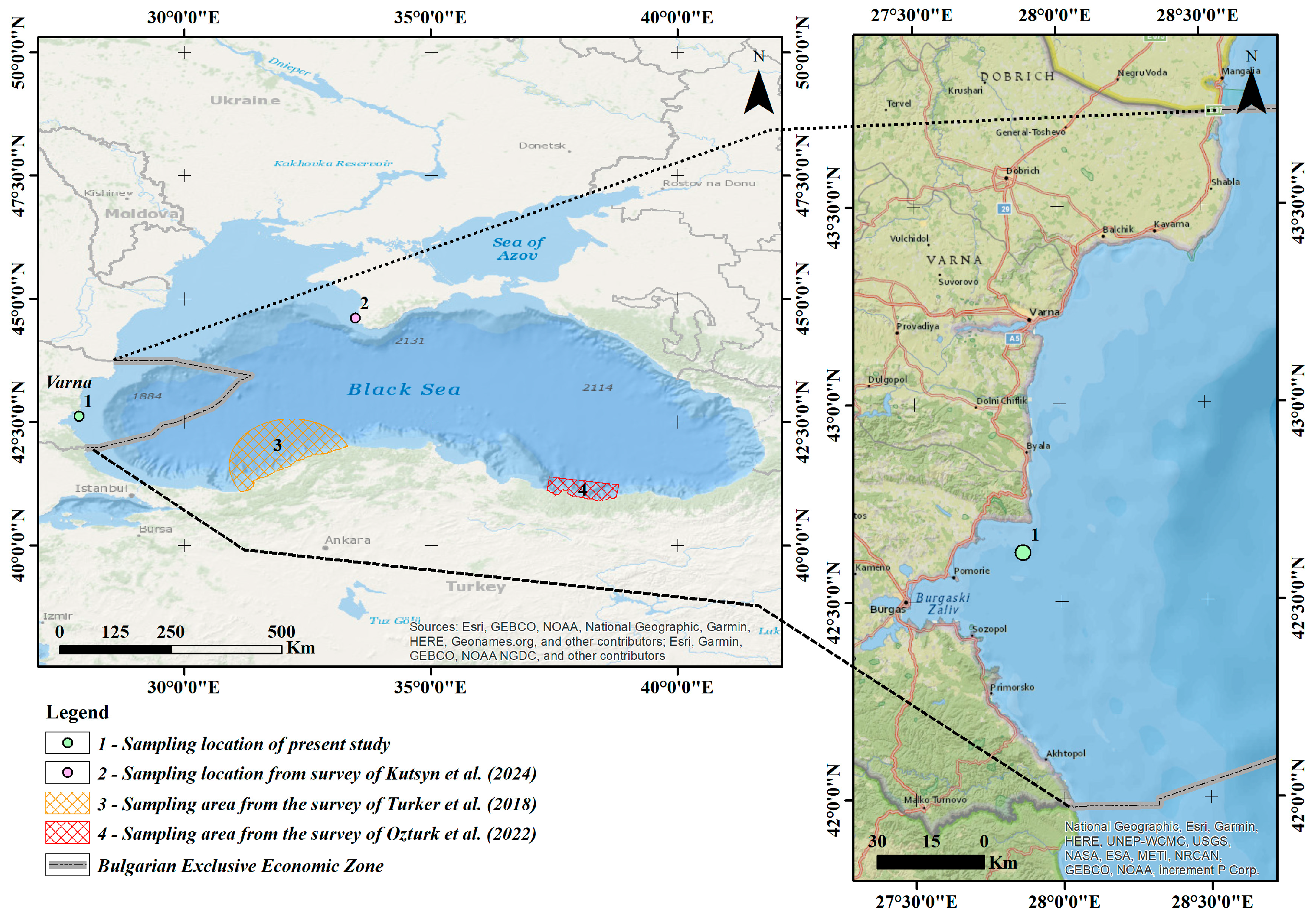 Diversity 17 00238 g001