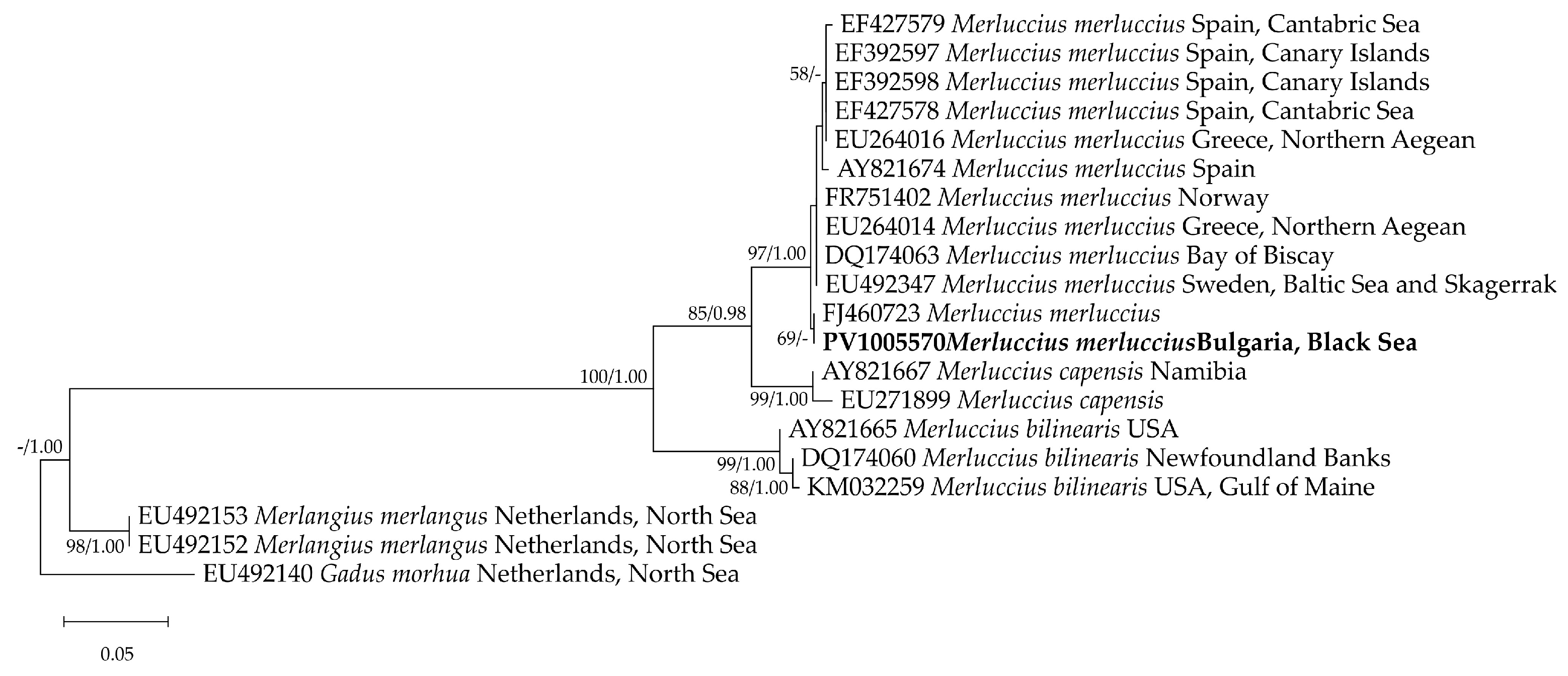 Diversity 17 00238 g005