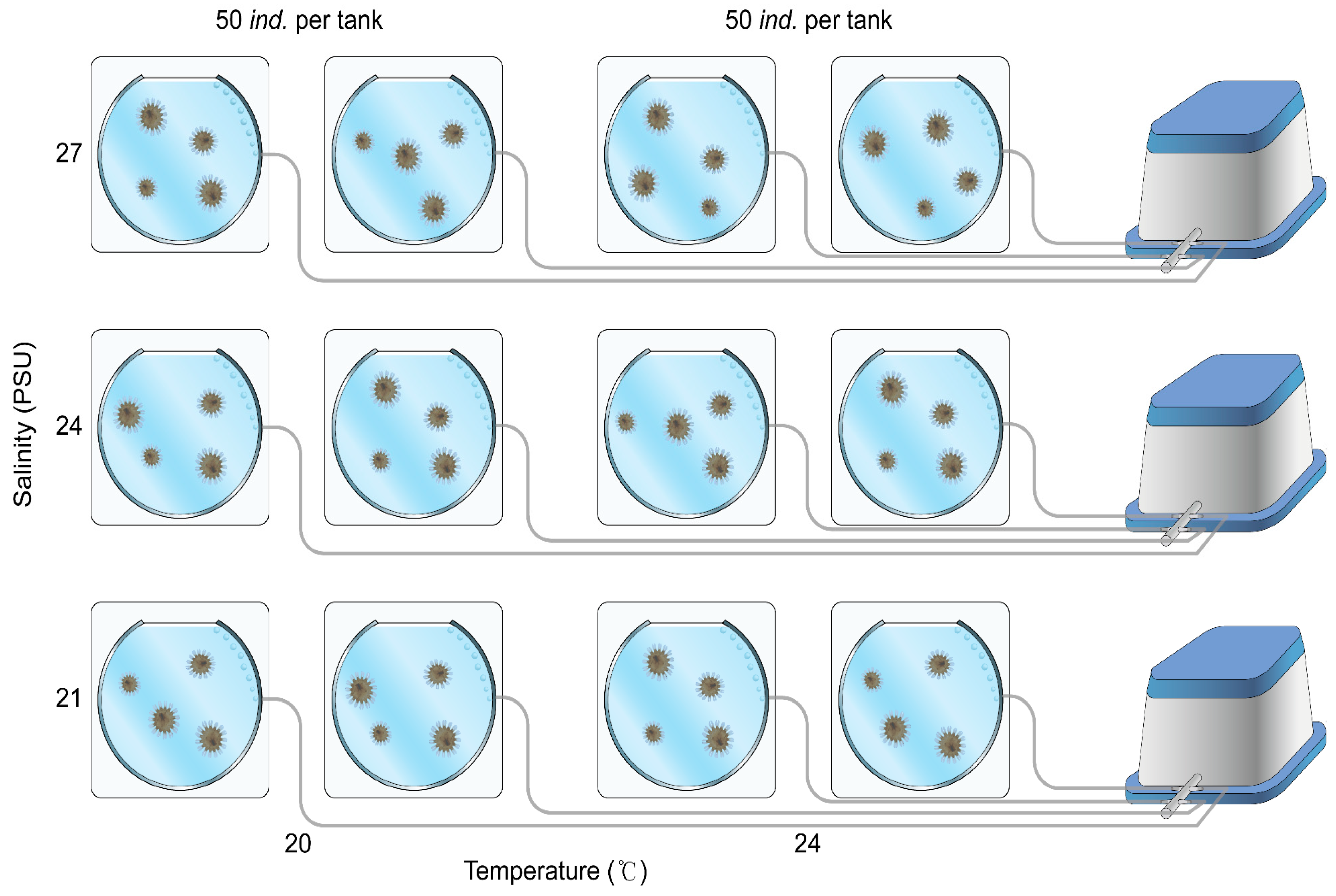 Diversity 17 00239 g001